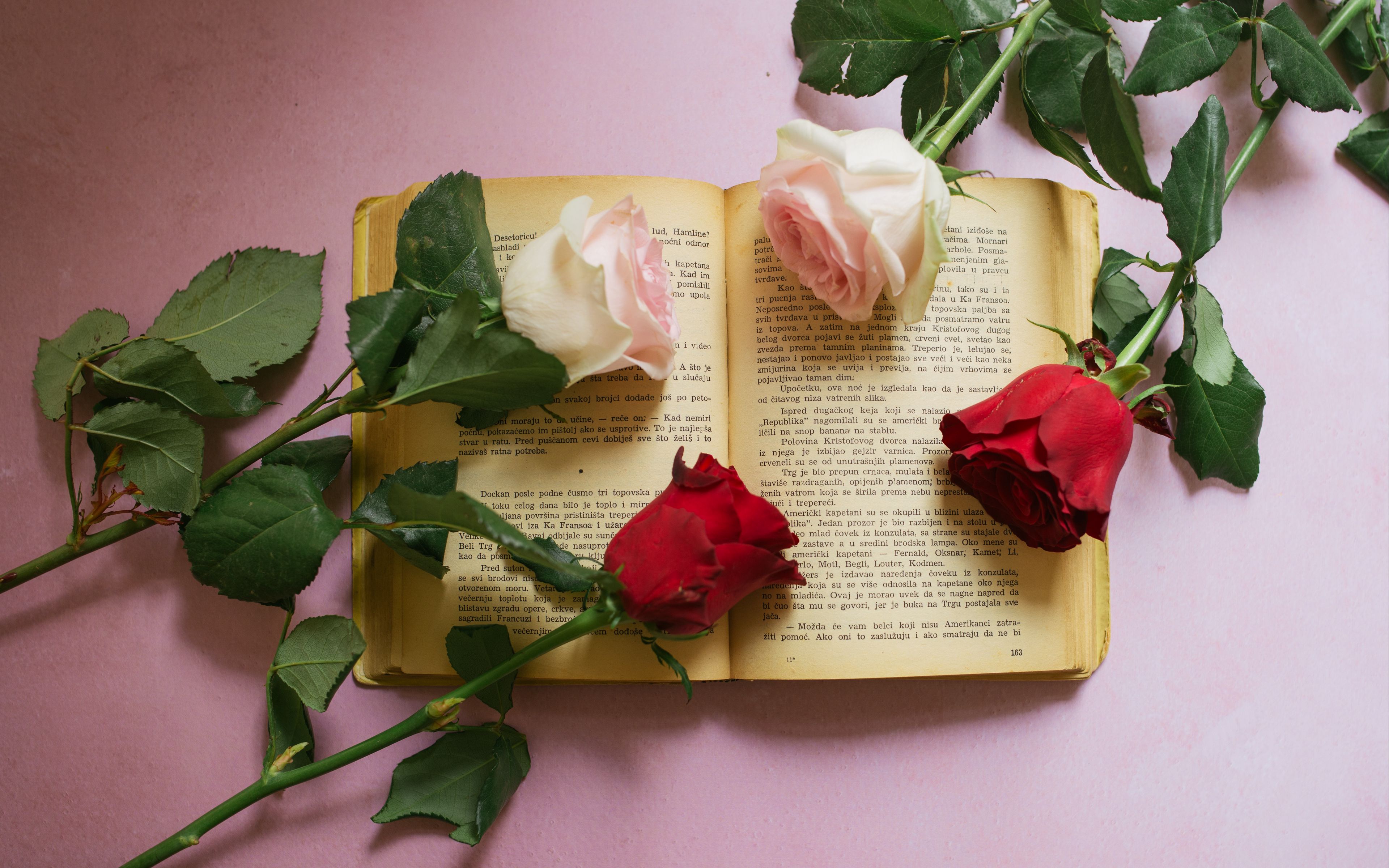 Roses on top of book Aesthetic Wallpaper 4k for Desktop