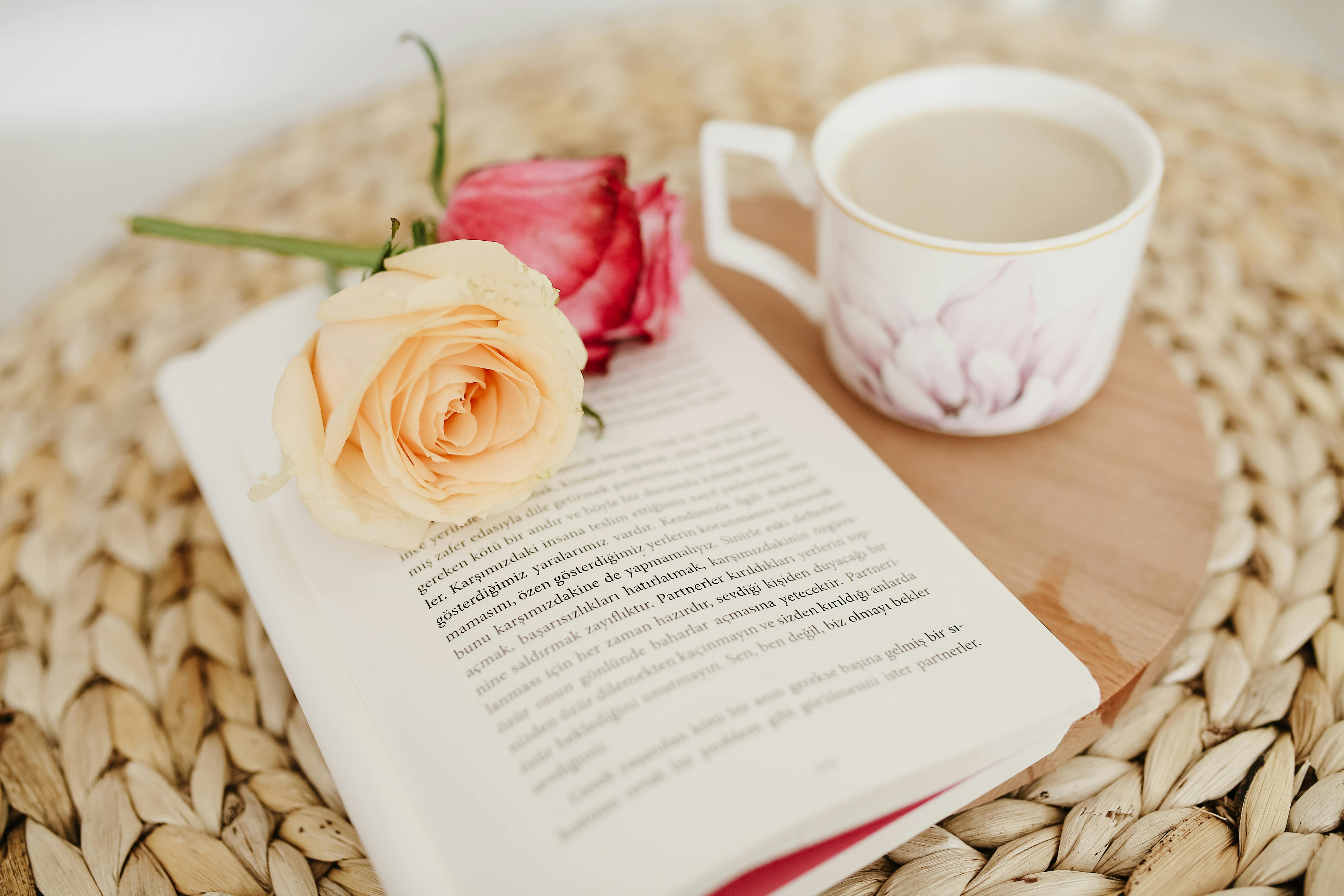 White and Pink Roses on a Book · Free
