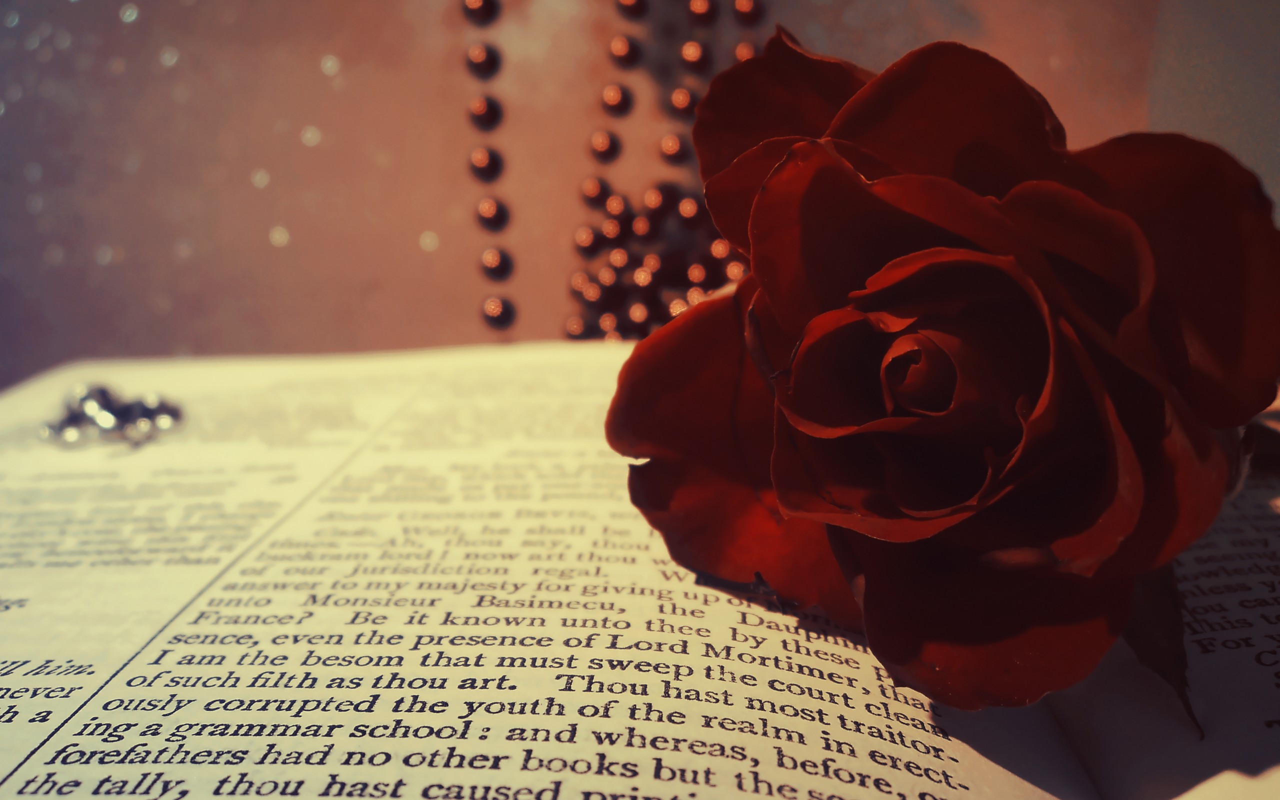 book, Rose, Red, Burgundy, Flower, Beads, Macro, Bokeh Wallpaper HD / Desktop and Mobile Background