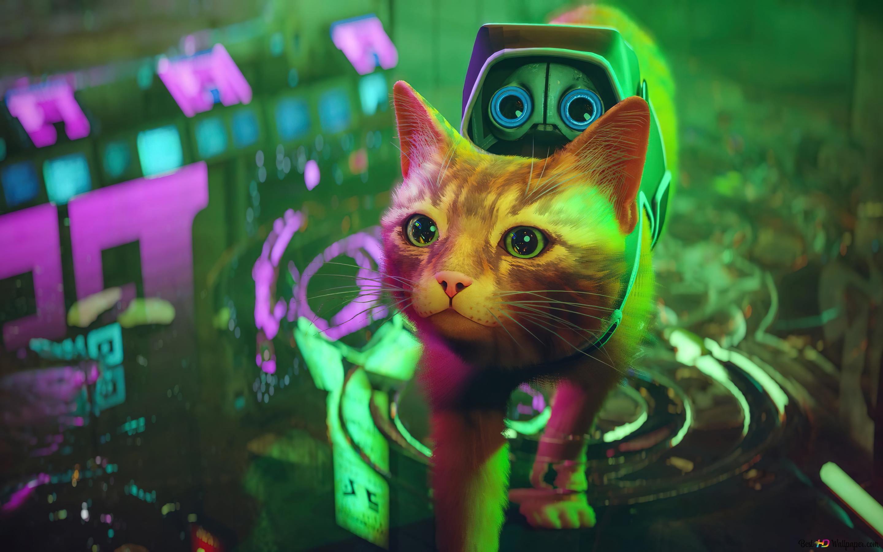 Cat from Stray video game 4K wallpaper download