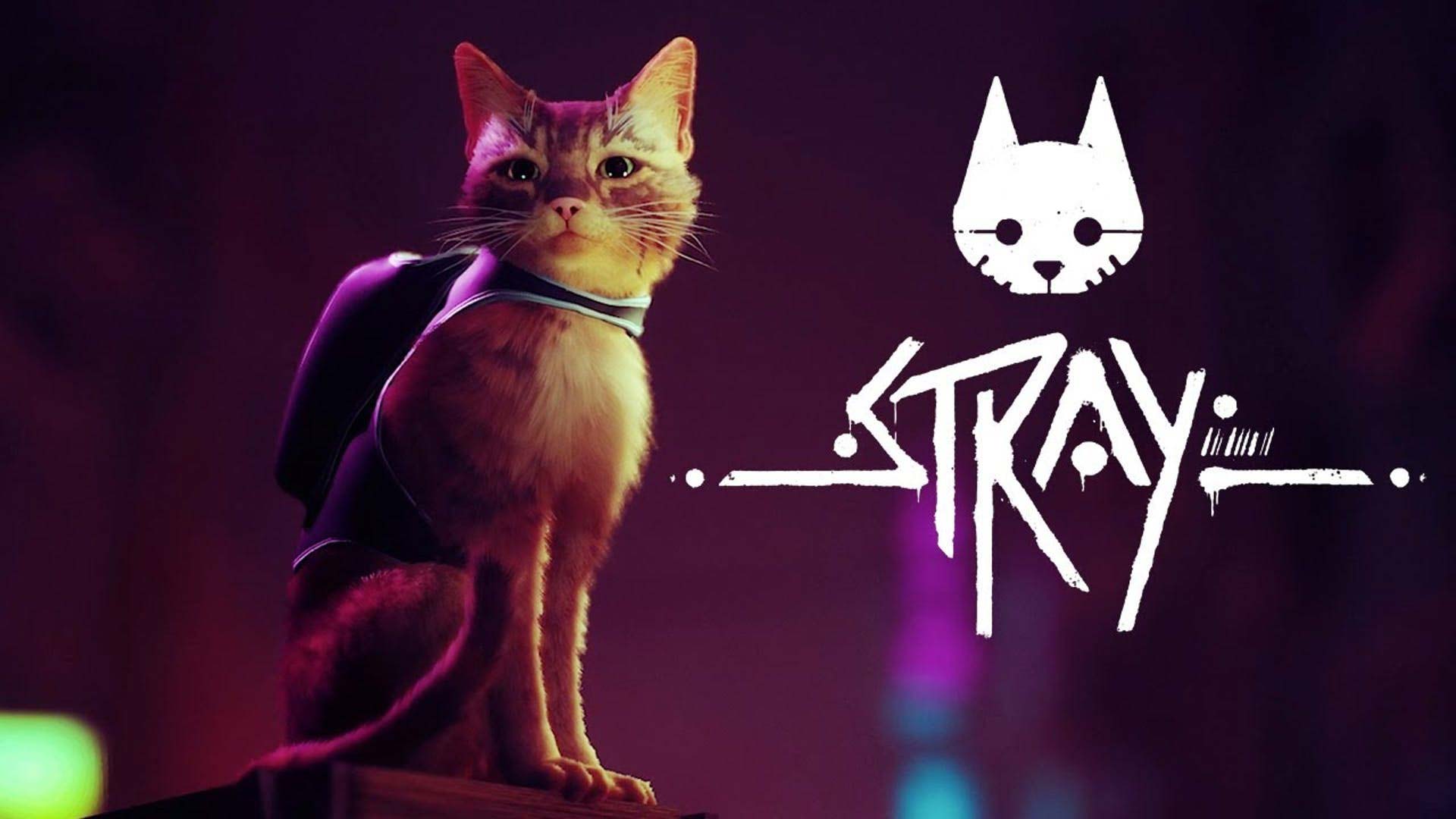 Stray Wallpaper