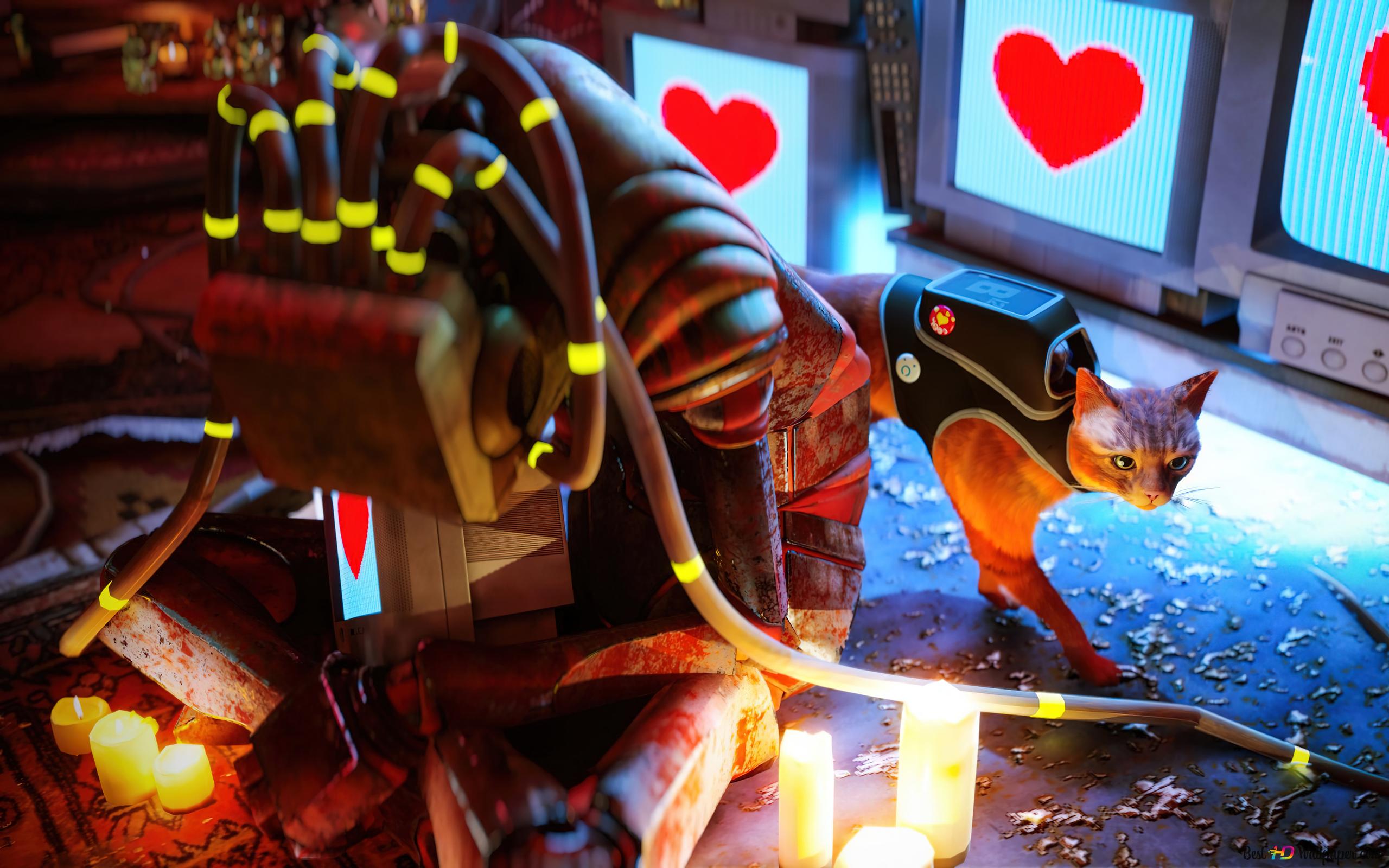 Stray video game 4K wallpaper download