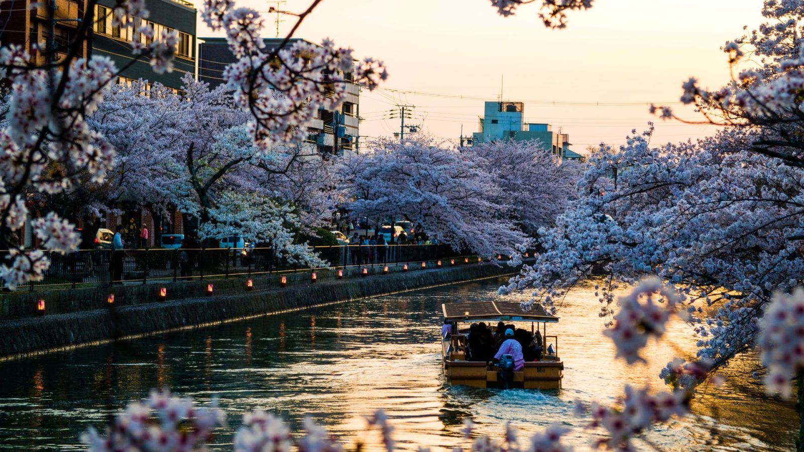 Kyoto Travel Guide: Explore Japan's Scenic, Spiritual City
