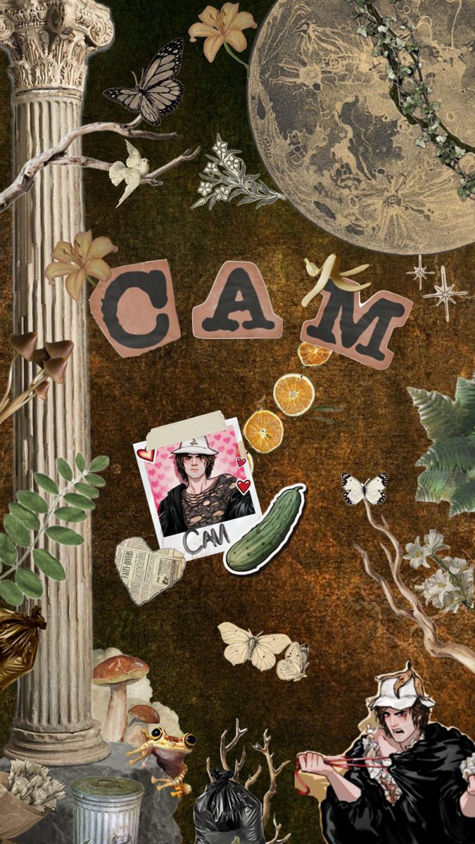 Cam Everything. Wallpaper, Save, Dating