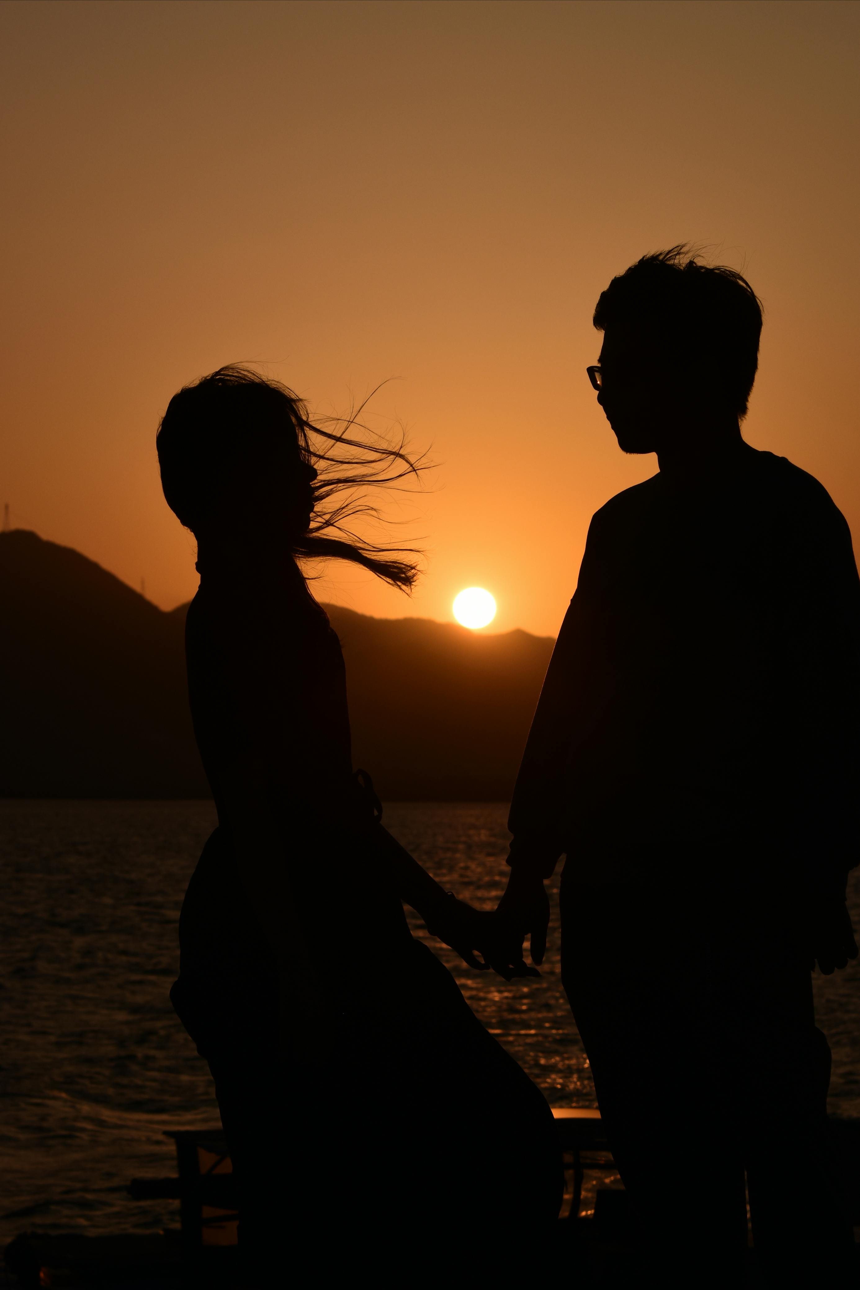 Back View of Silhouette of a Couple at Sunset · Free