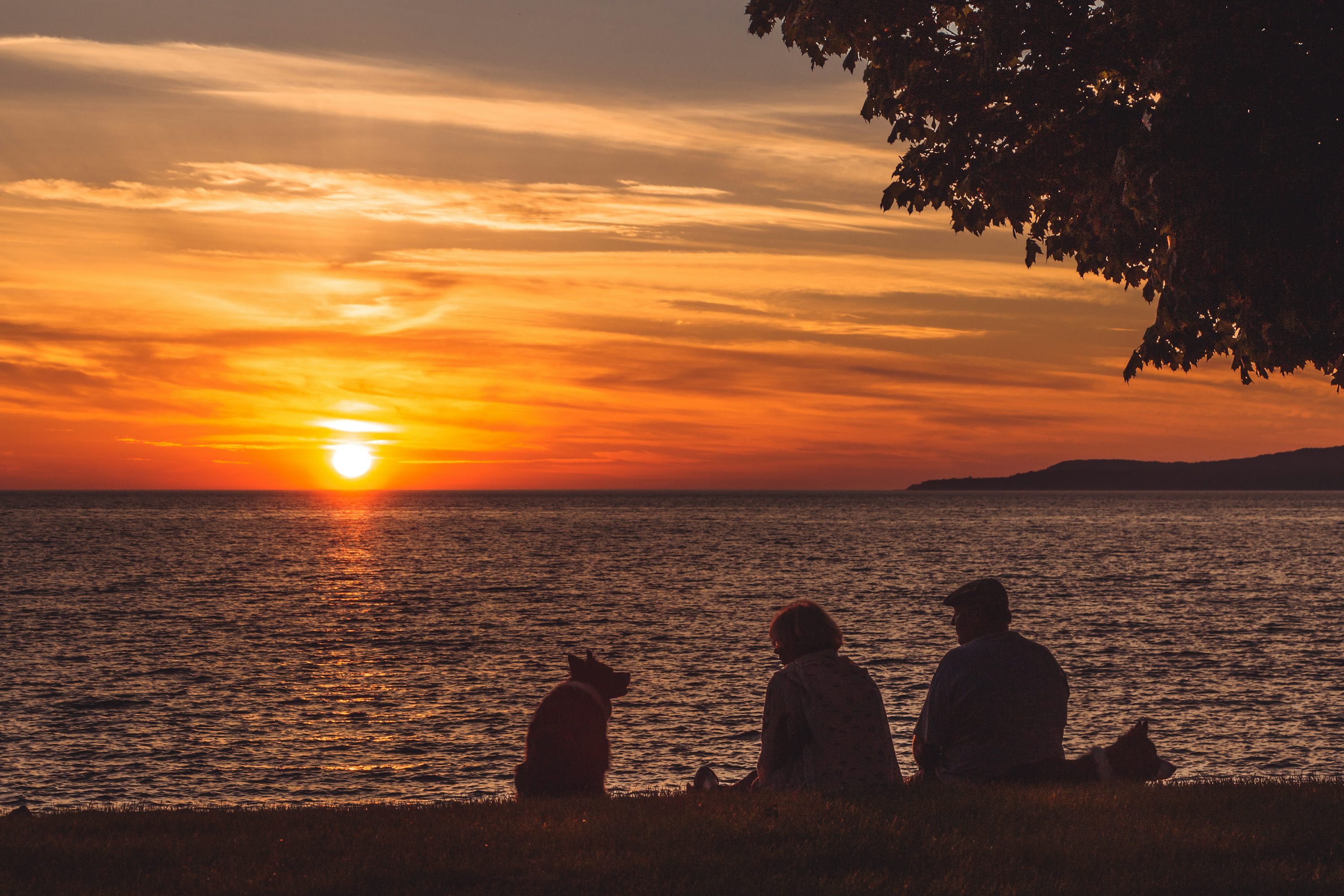 Sunset Couple Picture [Stunning!]. Download Free Image