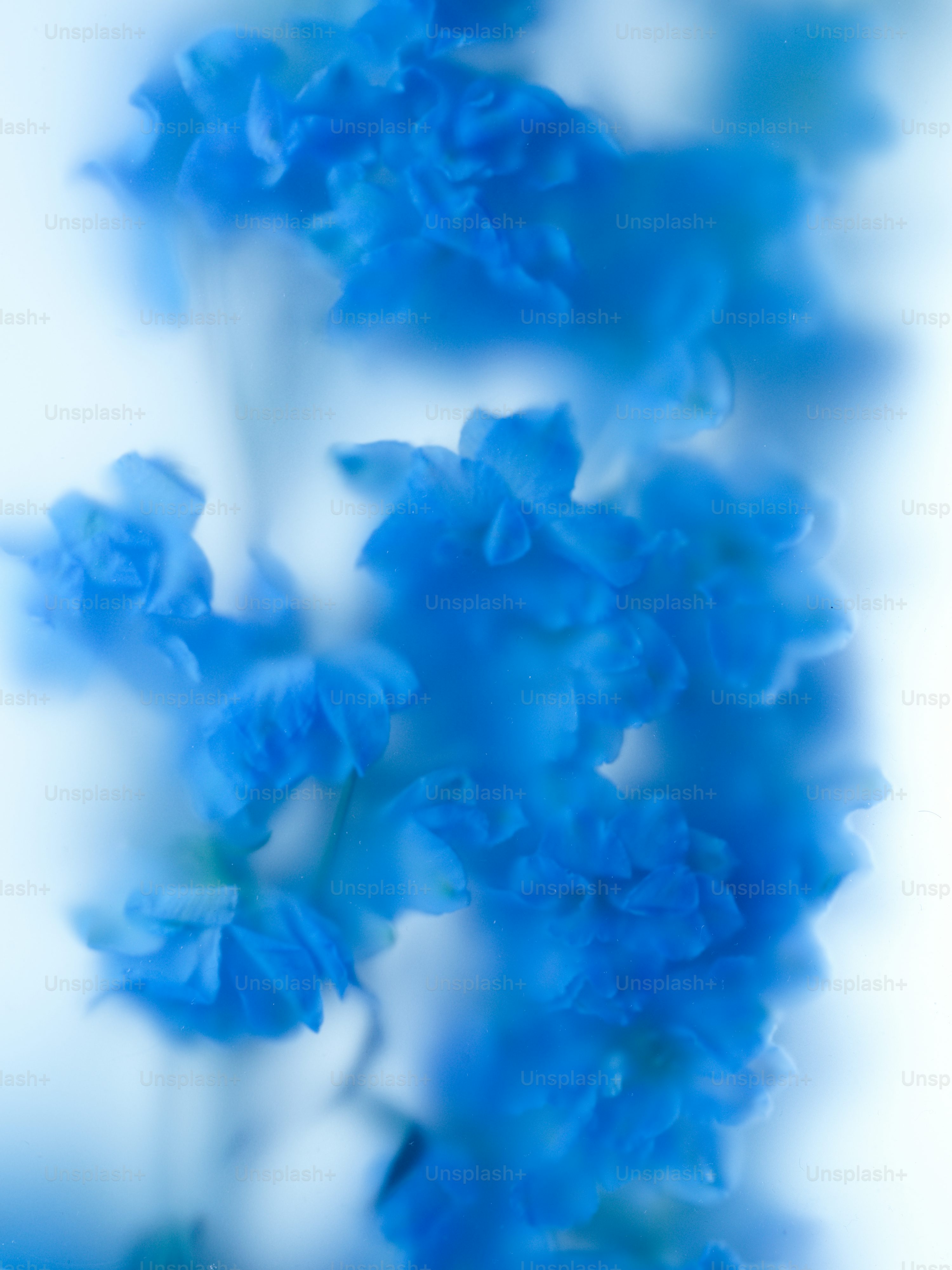 Blue Aesthetic Picture. Download Free Image