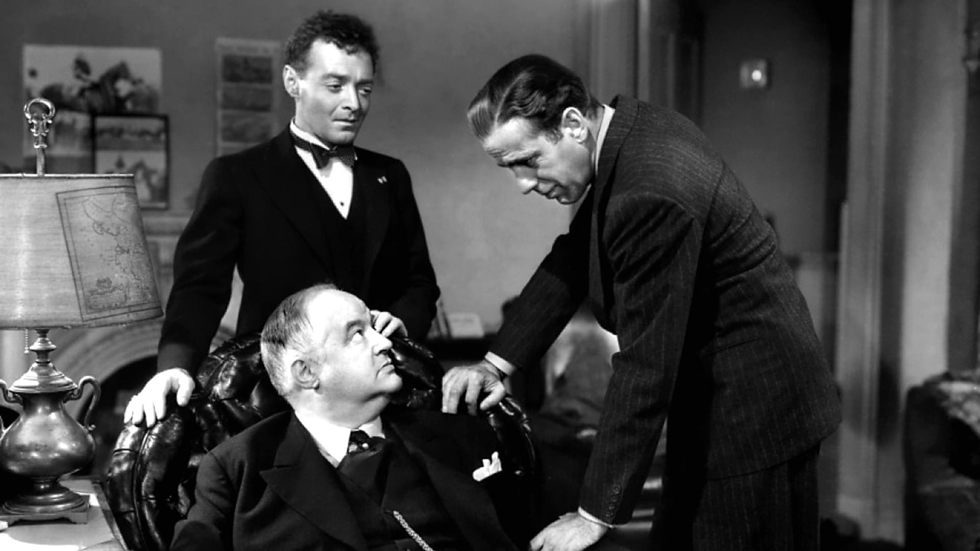 The Maltese Falcon is the best film noir