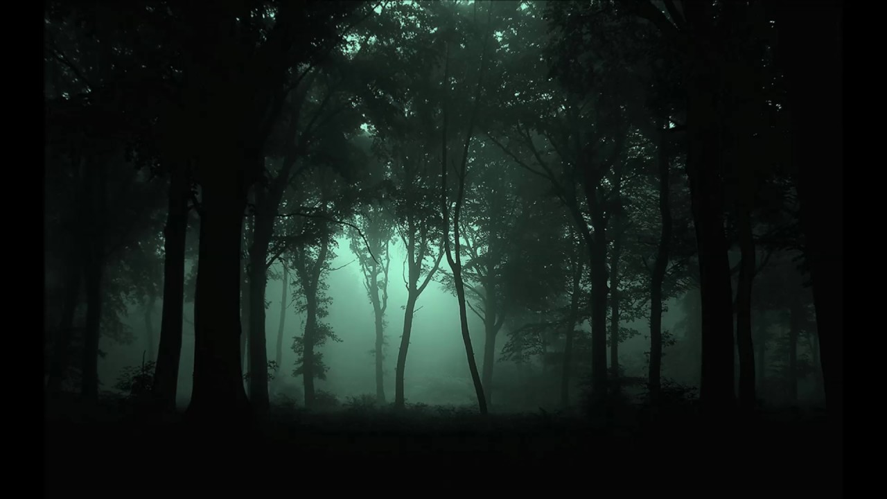 Tchaikovsky Overture (Full with Cannons). Foggy forest, Dark forest, Forest wallpaper