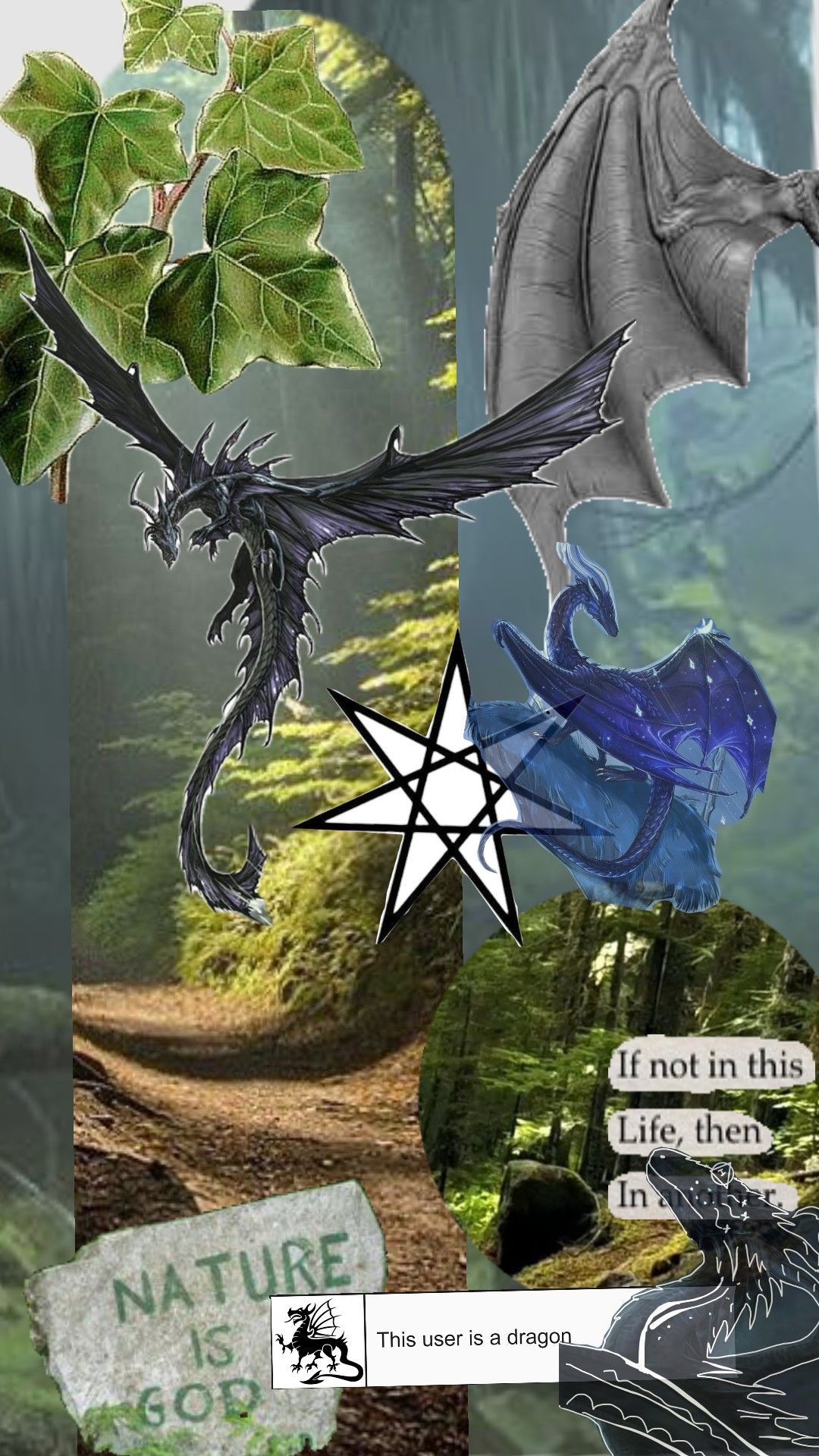 dragonkin
