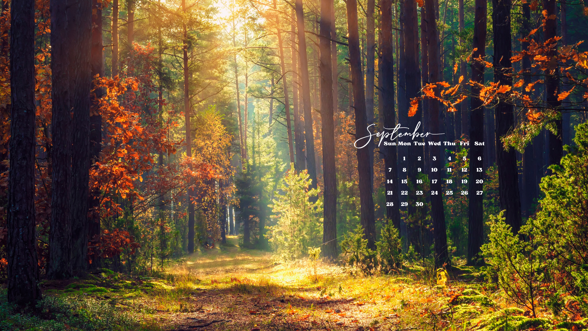 Free September 2025 Desktop Calendar Background (EASY DOWNLOAD)