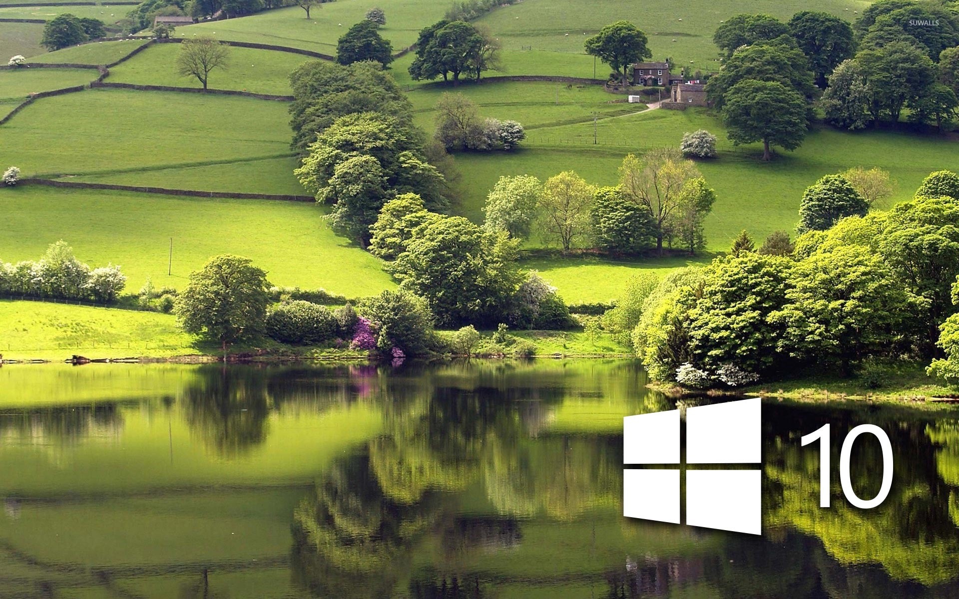 Windows 10 on the green meadow simple logo wallpaper wallpaper
