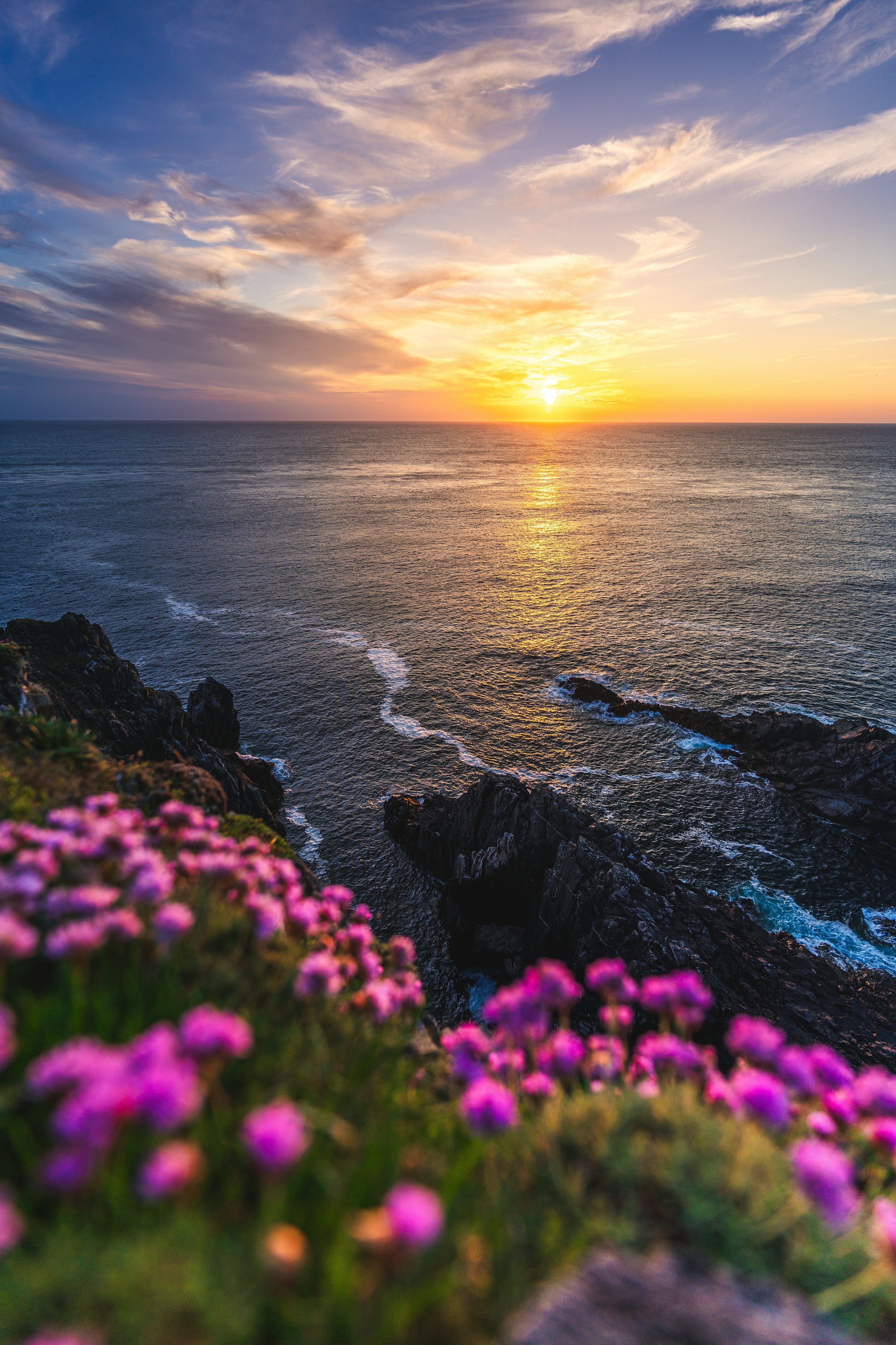 A beautiful sunset over the ocean with wildflowers photo