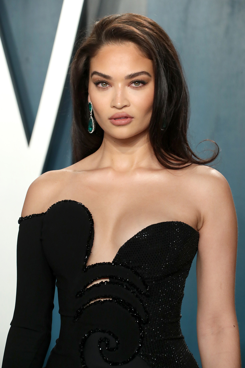 Shanina Shaik: Photo Of The Hot Model