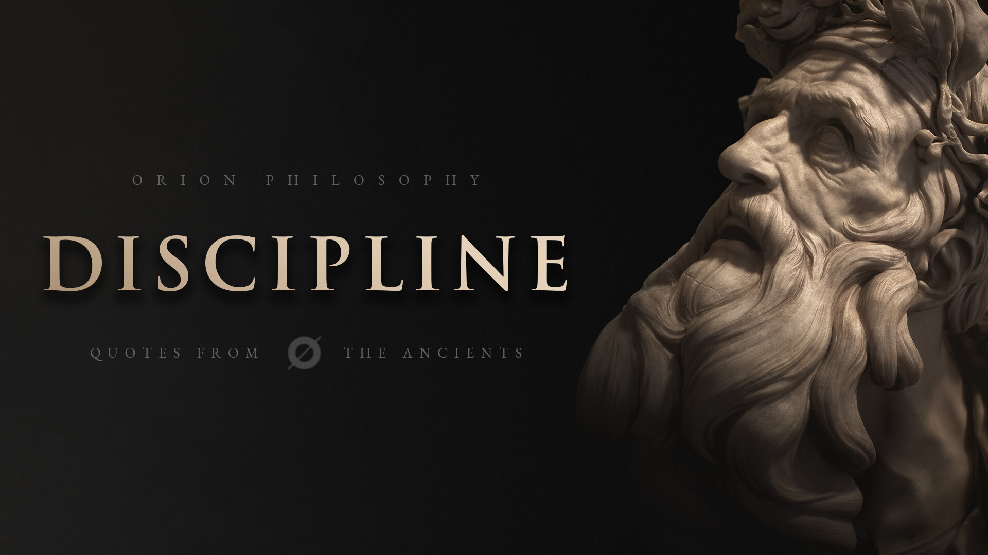 Perfect Quotes On Discipline