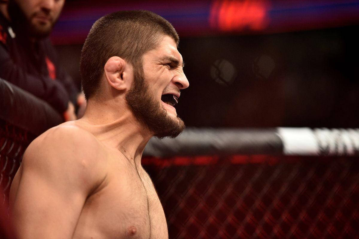 Khabib Nurmagomedov Wallpaper