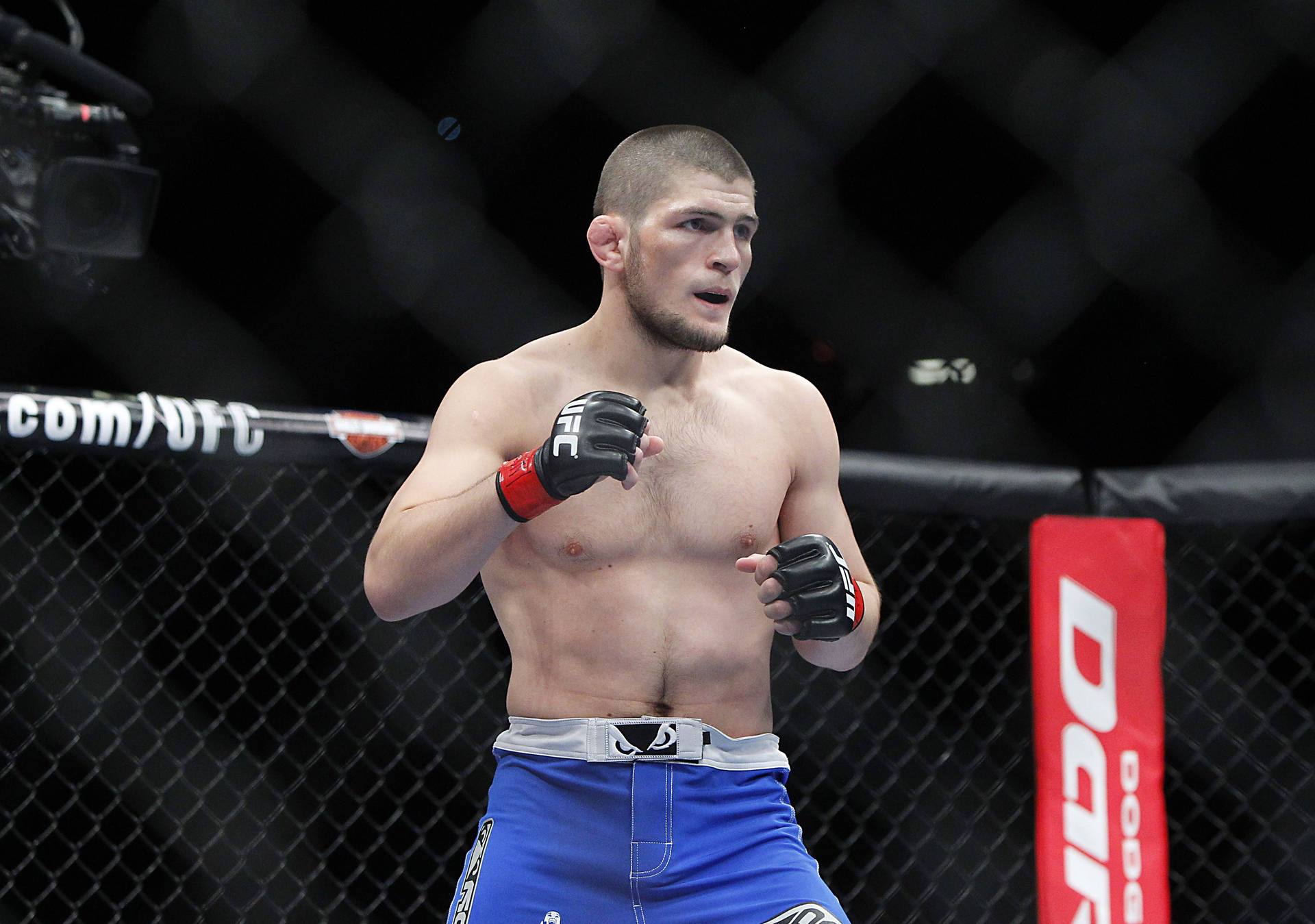 Khabib Nurmagomedov Picture
