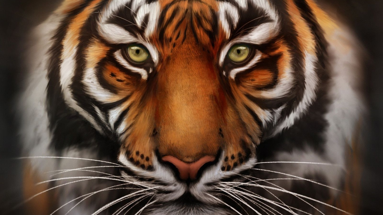Tiger Face HD Desktop Wallpaper 20546