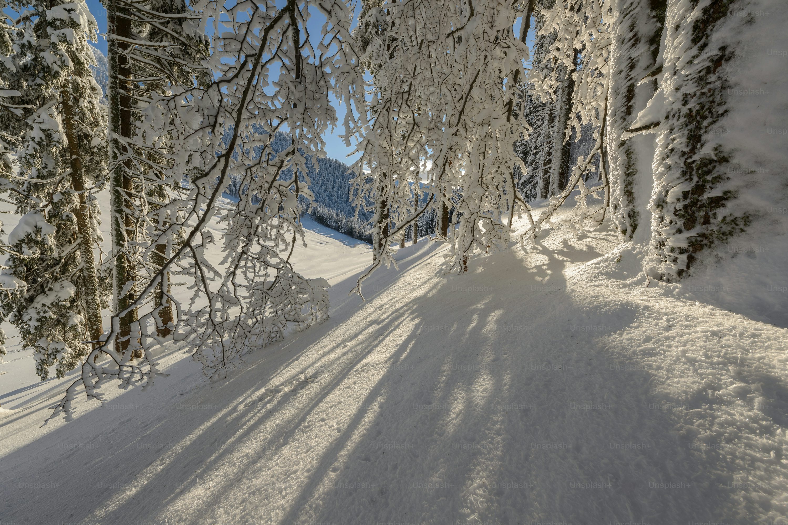 Winter Wallpaper: Free HD Download [4K]