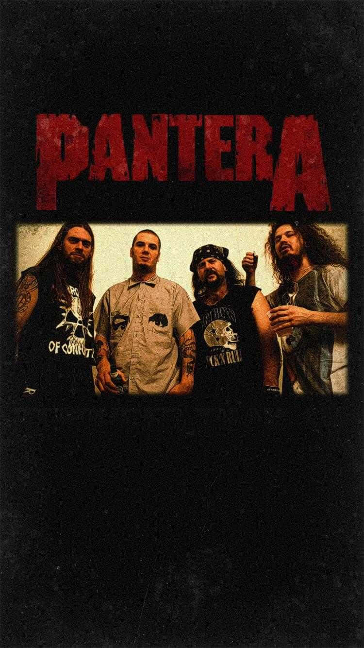 Download Pantera Wallpaper