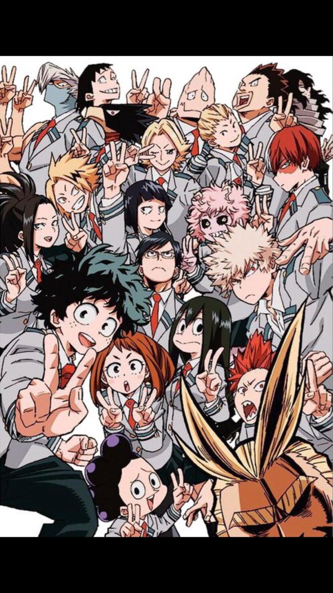 My Hero Academia Group Pic (BNHA MHA)