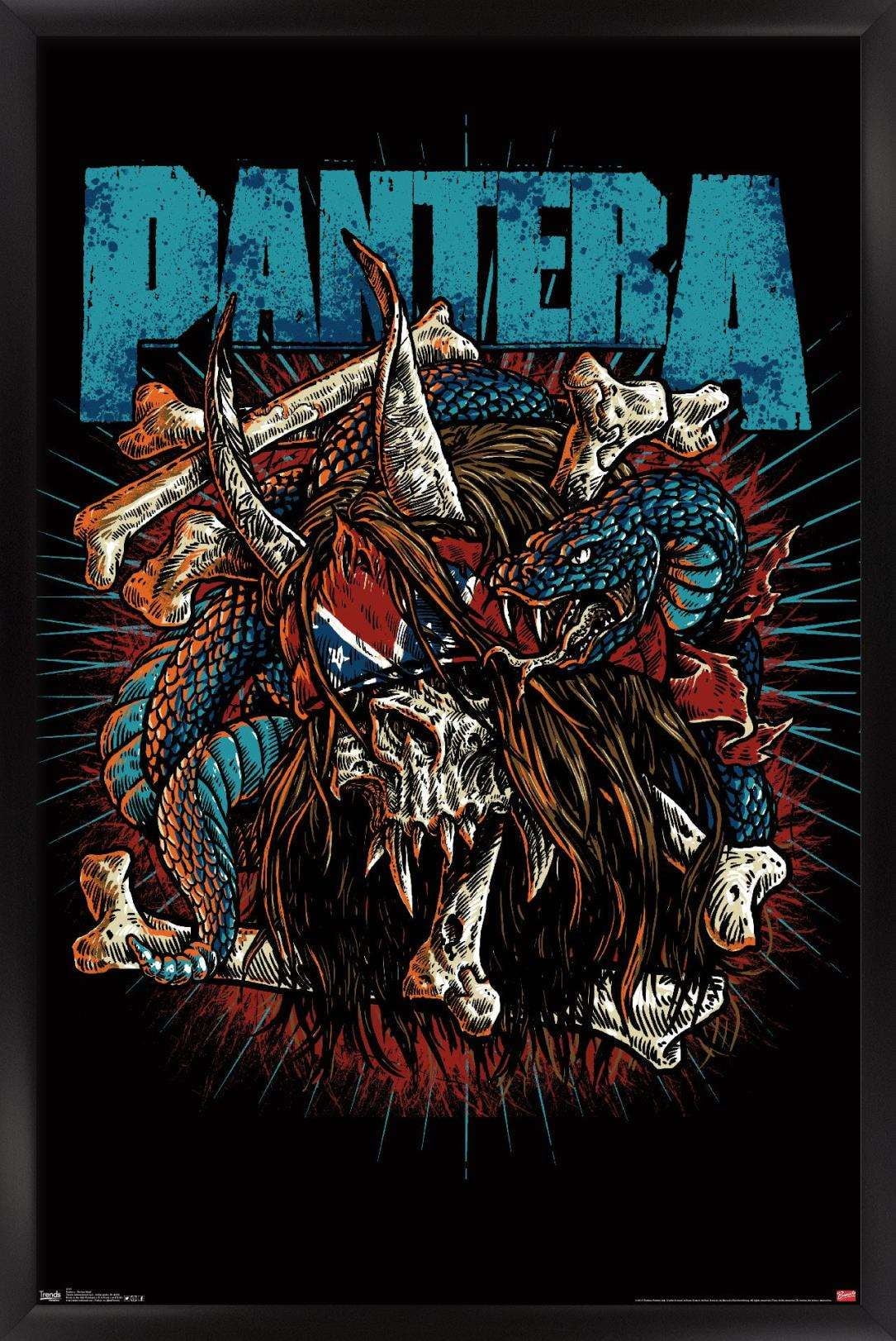 Trends International Pantera Skull Wall Poster 14.725 x 22.375 Black Framed Version