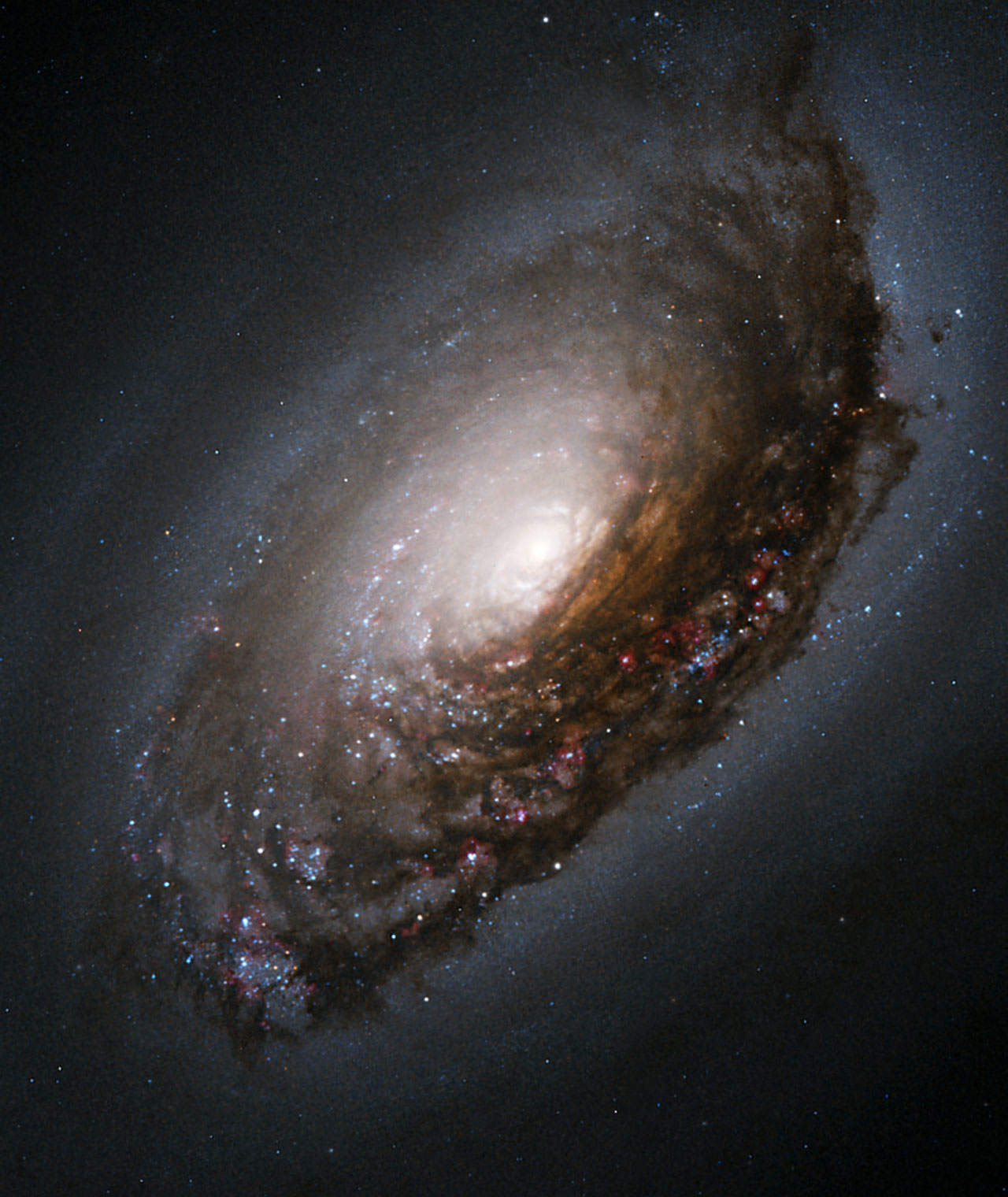 An Abrasive Collision Gives One Galaxy A Black Eye