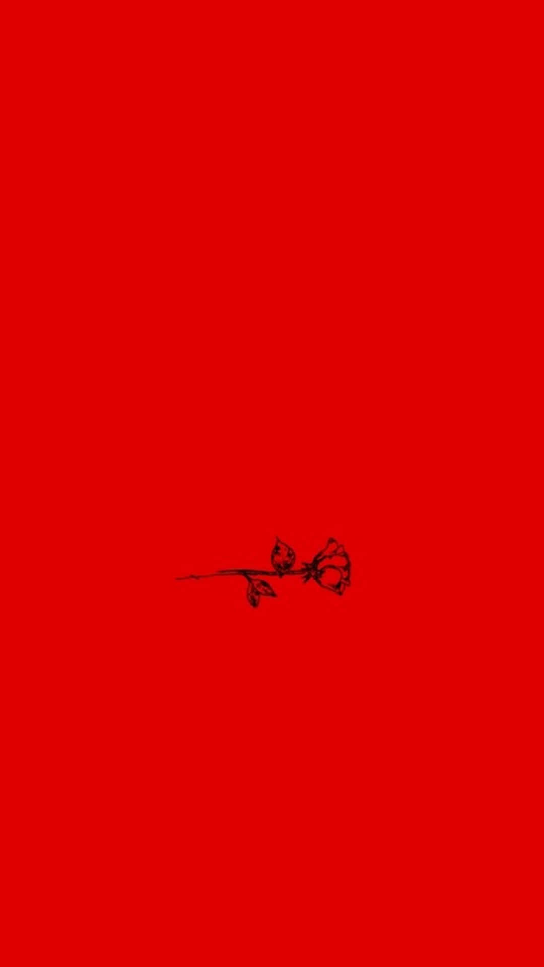 Download A Red Background With A Black Drawing Of A Flower