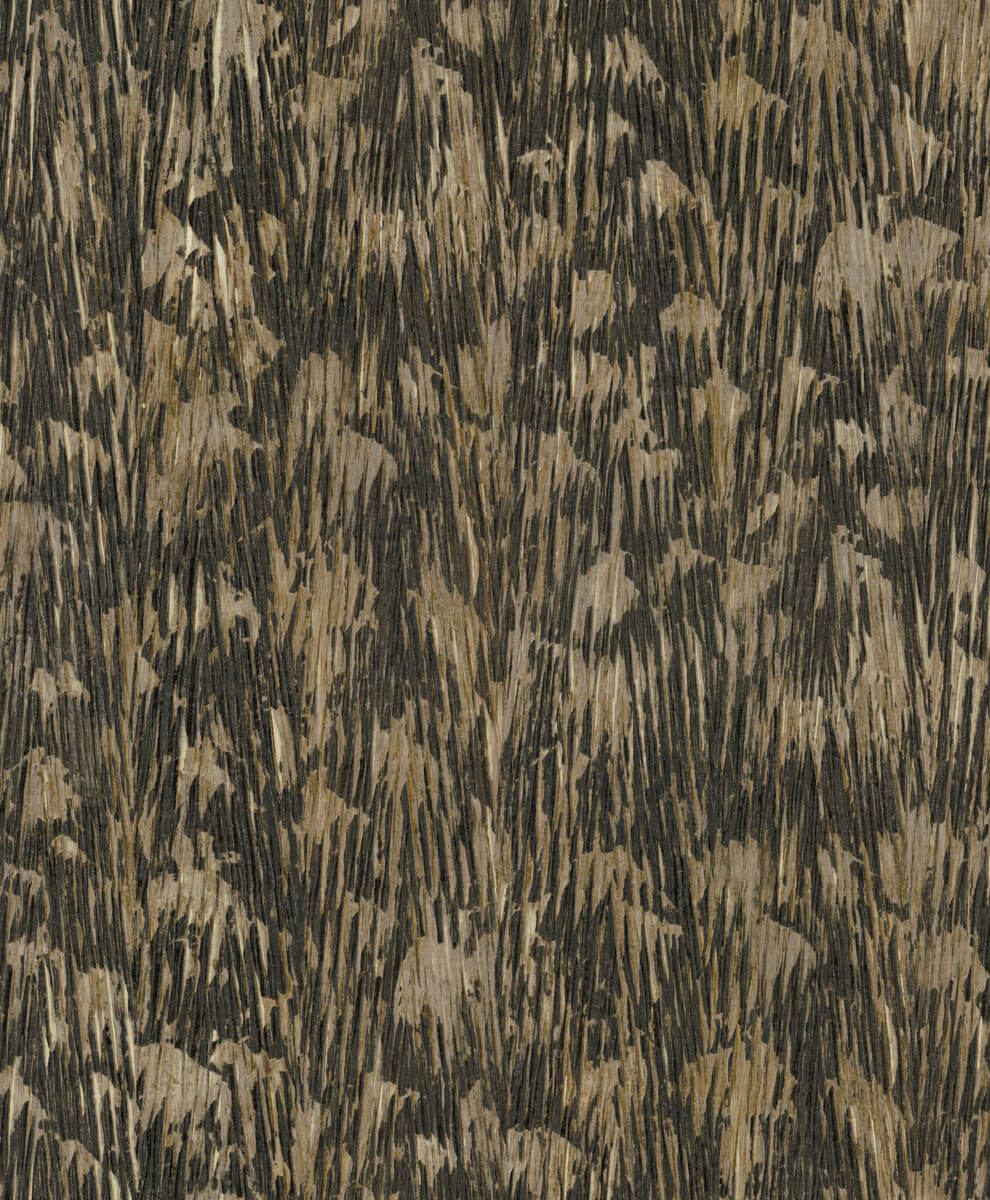 York Wallcoverings FM1004 Gilded Plume Black Wallpaper