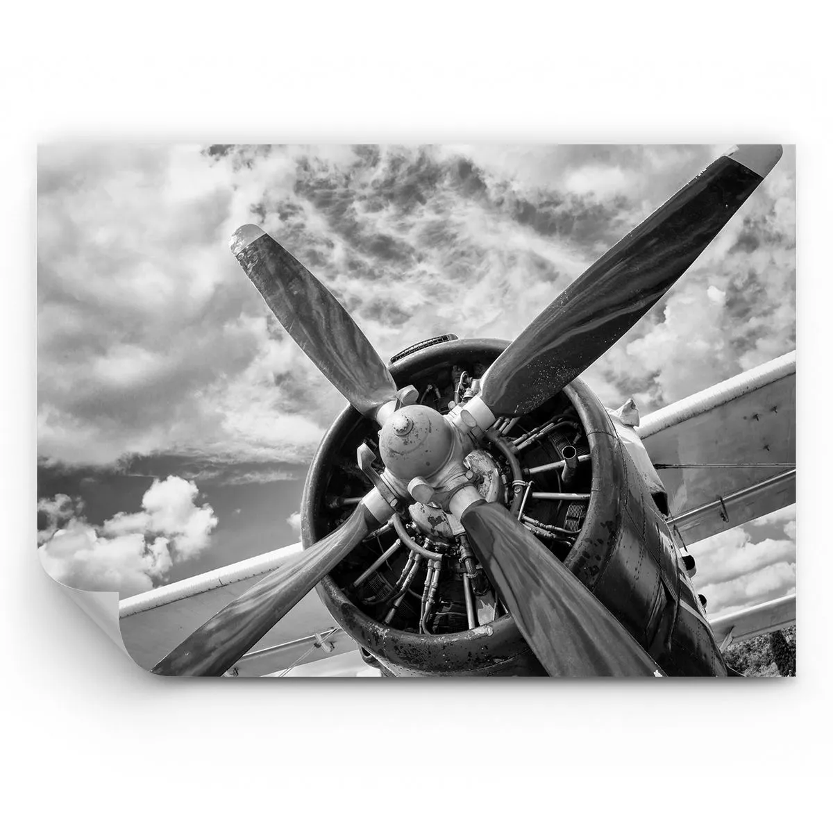 Photo Wallpaper Standard Eco of the Skies, Airplane Propeller, Vintage cm arttordesign.com