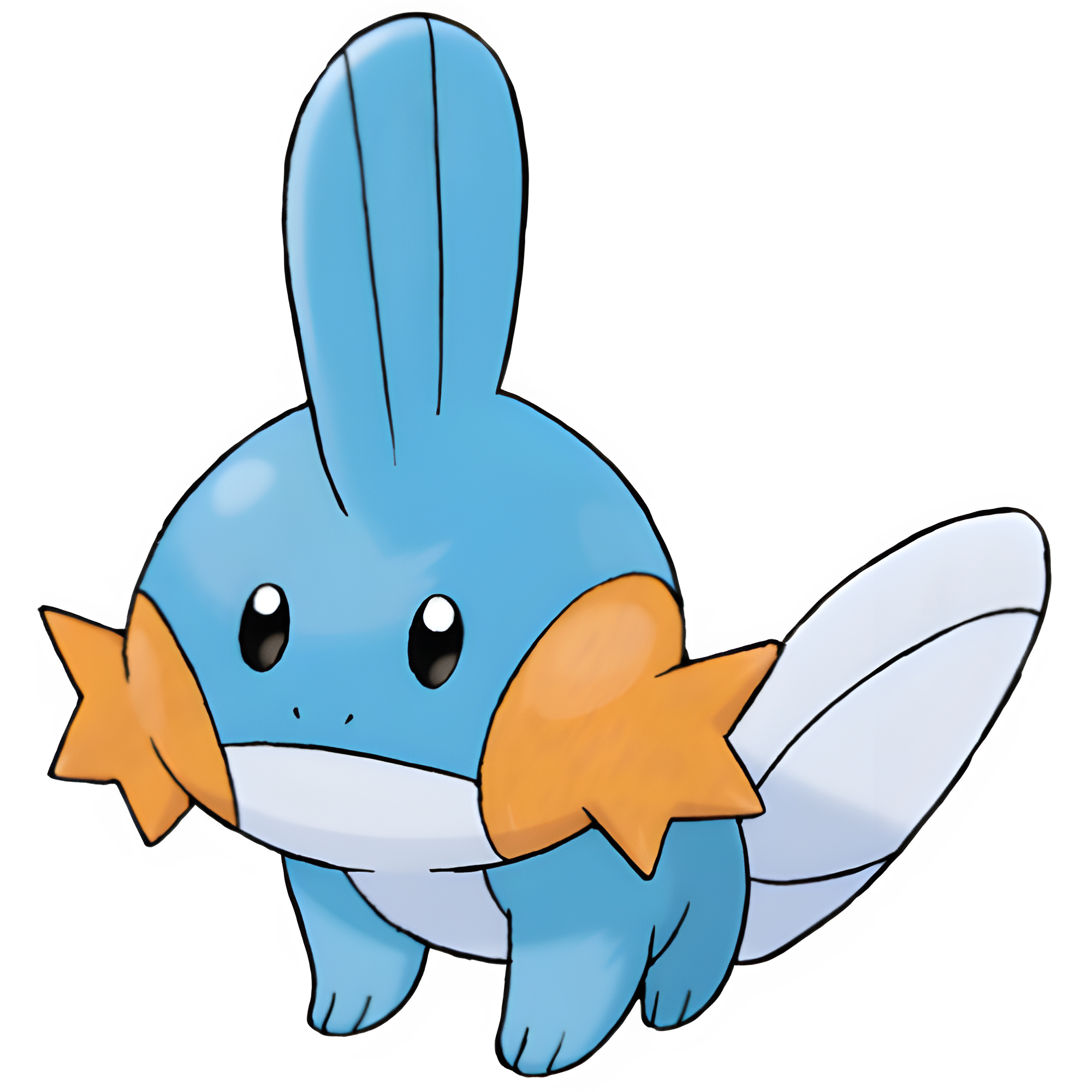 Mudkip. Pokémon