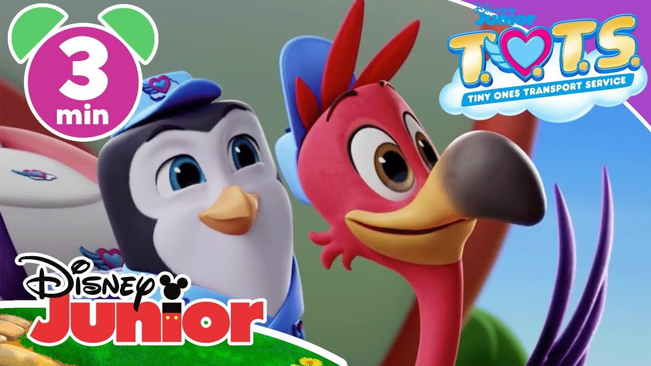 T.O.T.S. T.O.T.S. Field Trip