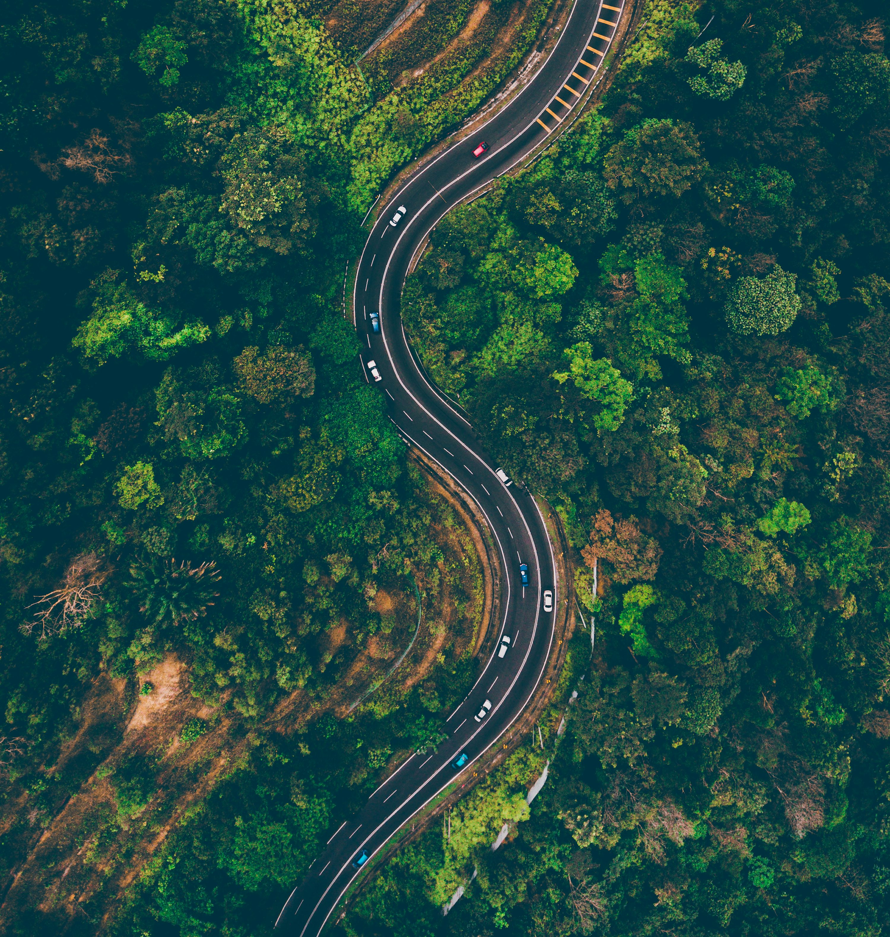 Top view of cars on road surrounded