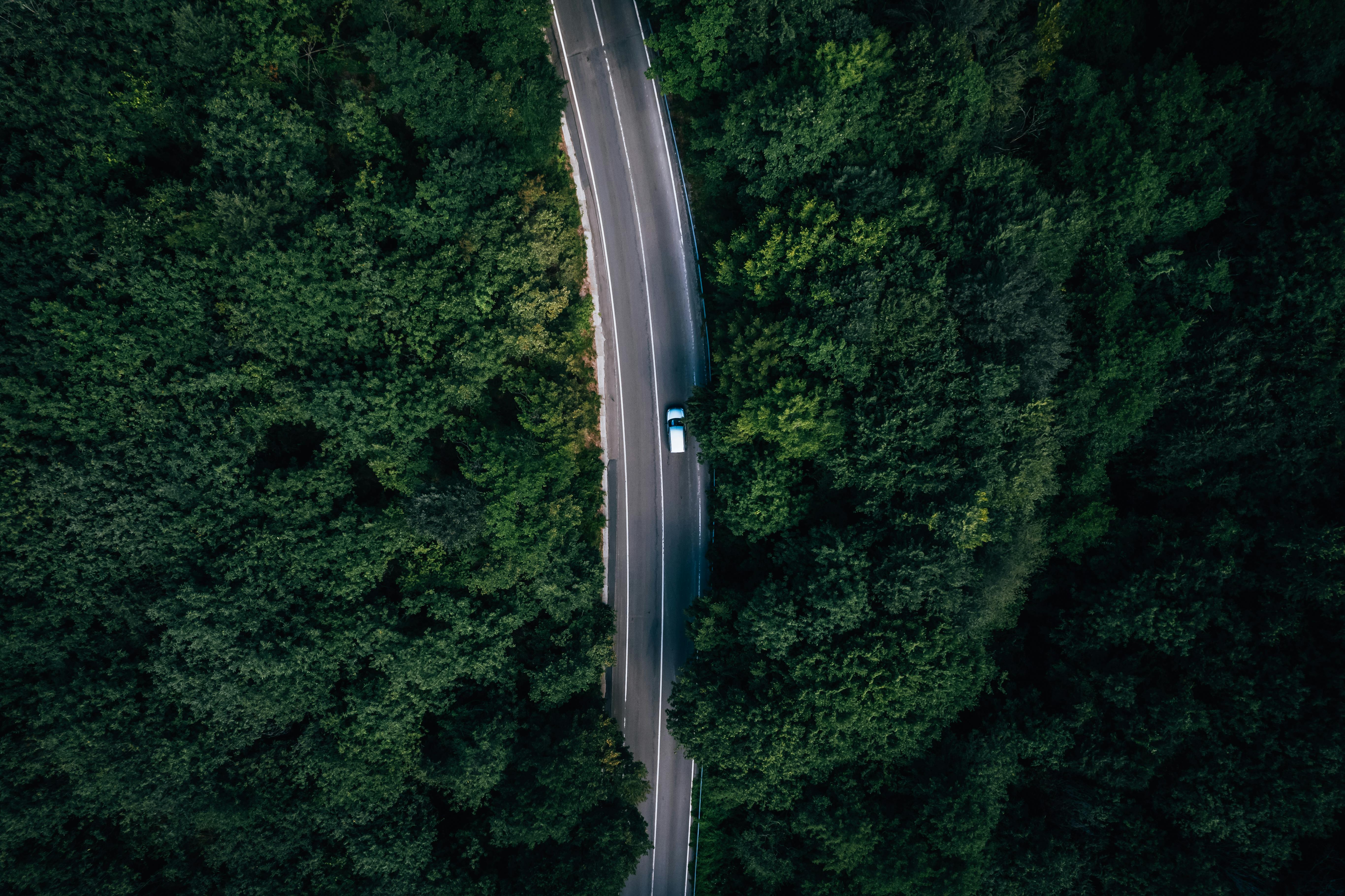 Drone Shot of a Car on a Road in a Forest · Free