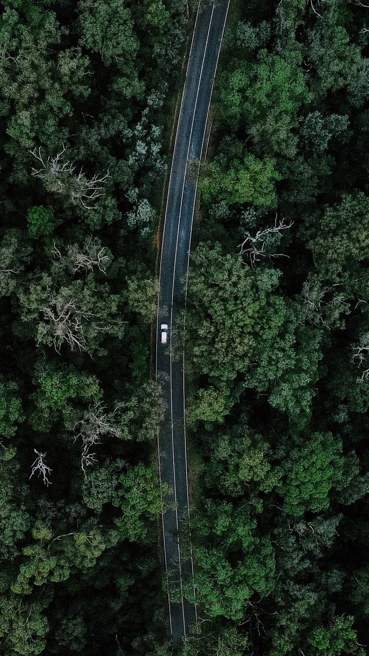 Aerial View Of Car On Road Between Forest 4K HD Forest Wallpaper