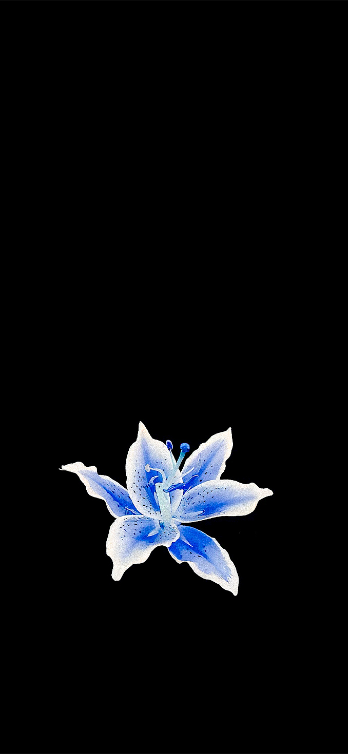 Aesthetic Matching Wallpaper iPhone 4k