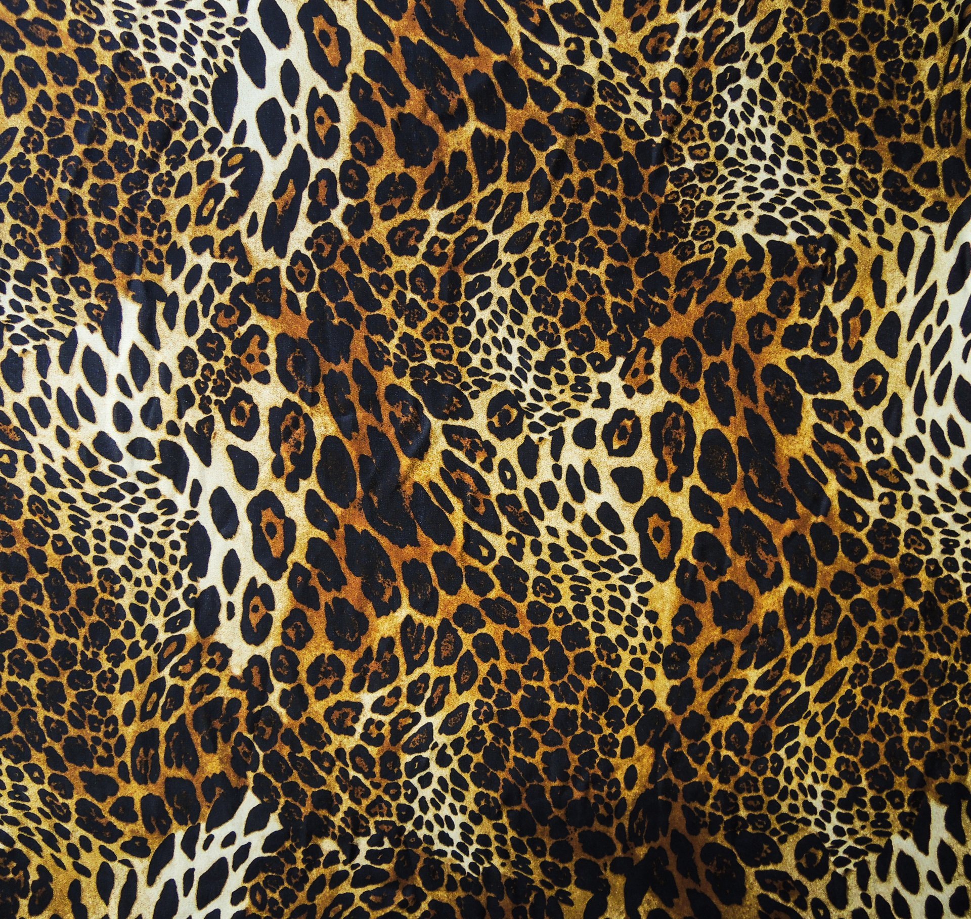 Leopard skin and wool texture
