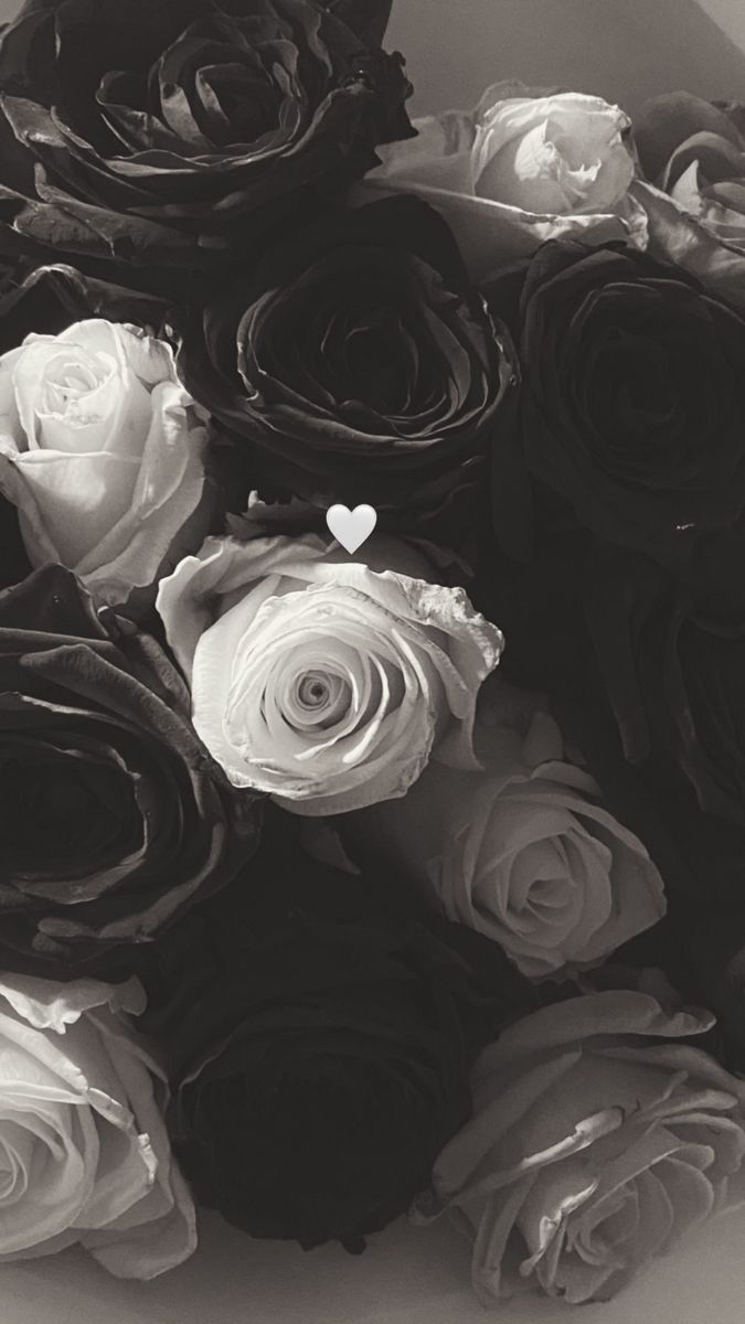 Black and White Flowers Wallpaper