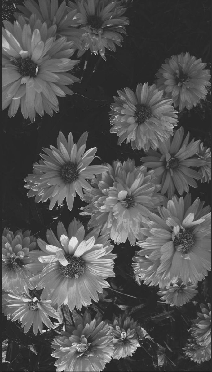 flower garden black and white