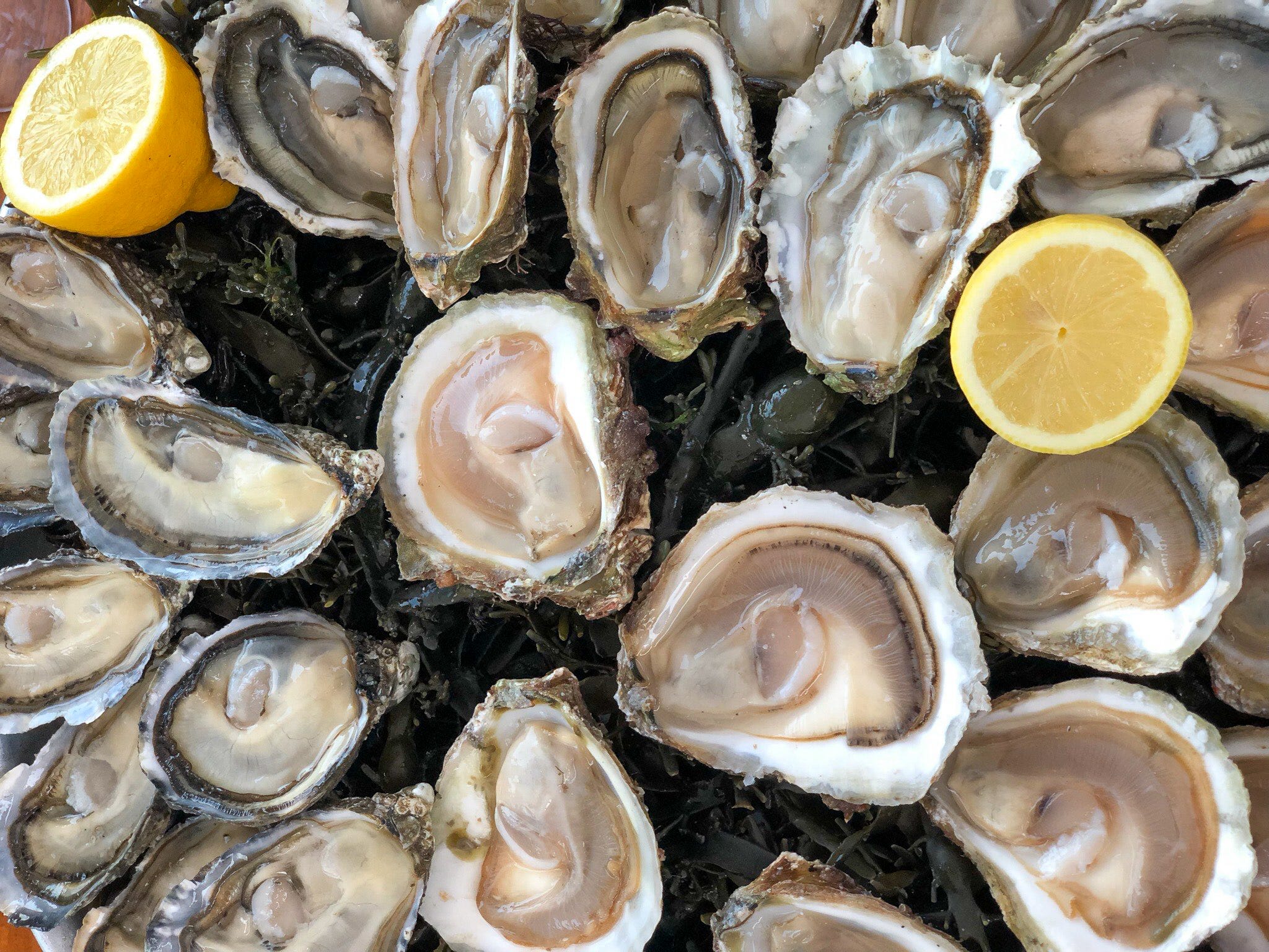 Oysters: My Tradition, Including A No Recipe Recipe + Wine Advice You Can Take Or Ignore
