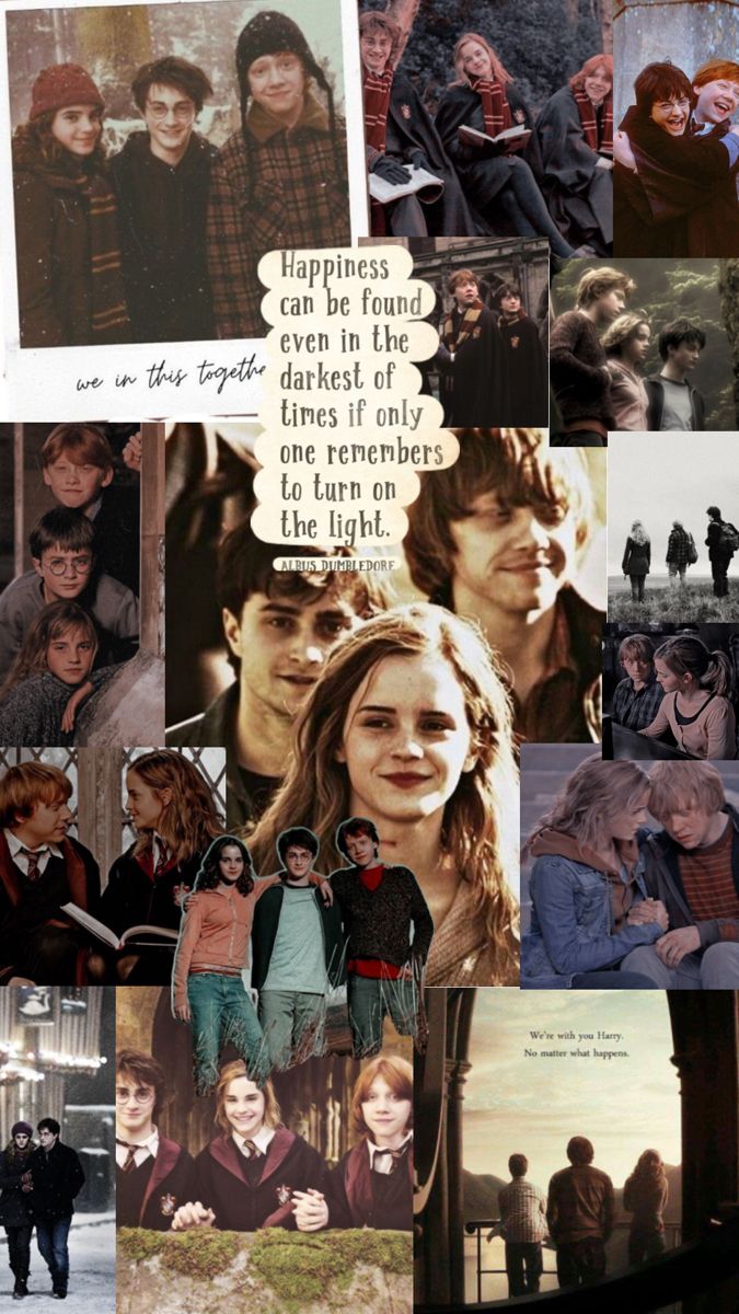 Harry Potter golden trio aesthetic wallpaper