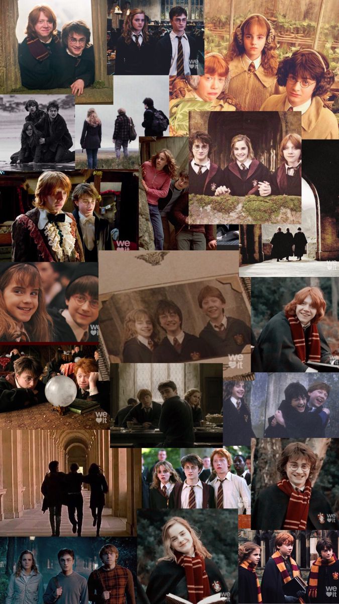 Harry hermione ron