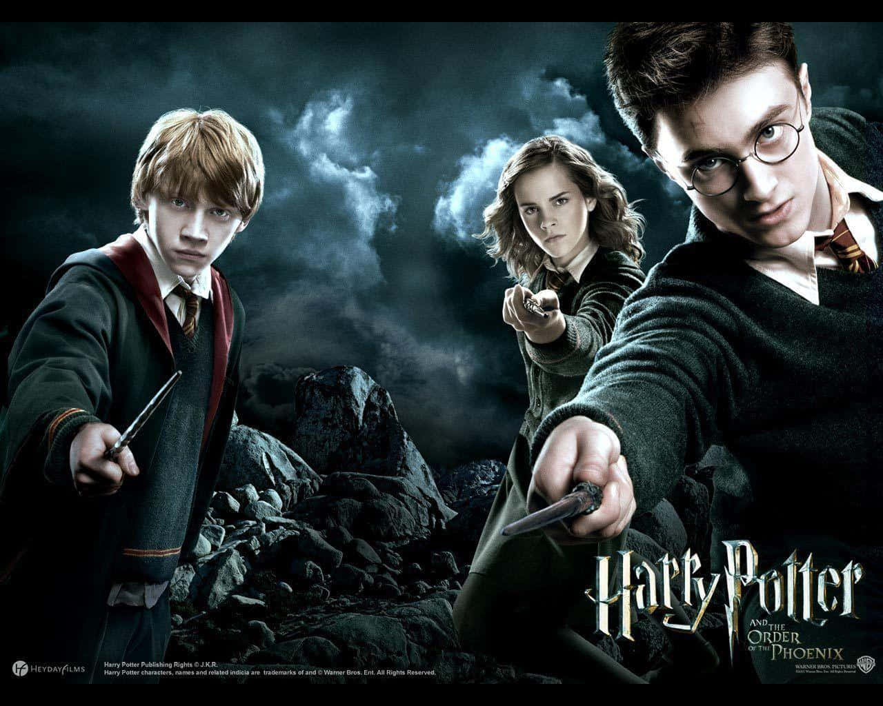Download Harry Potter Hermione Ron All Characters Wallpaper