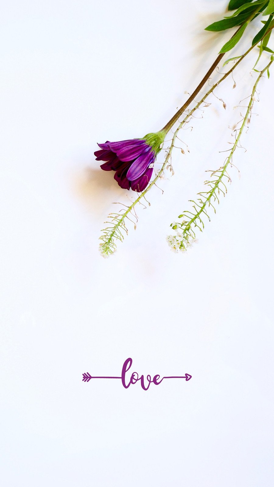 Purple Phone Wallpaper Online