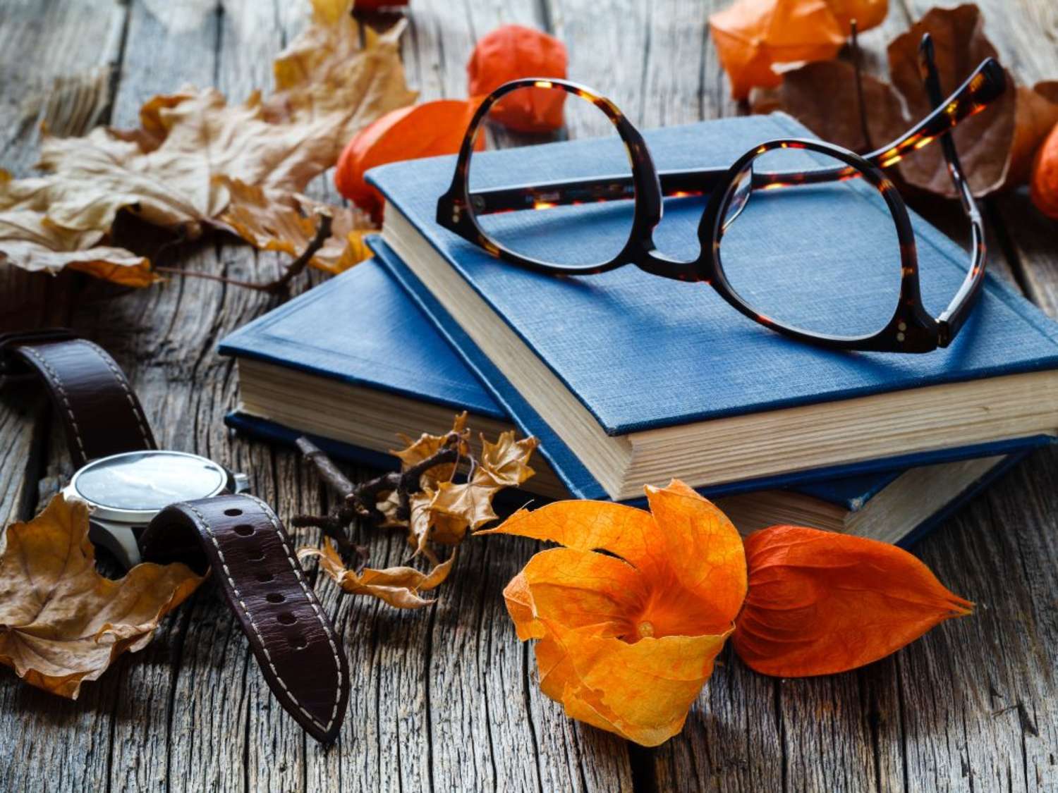 Experts to Take You Back to School This Fall