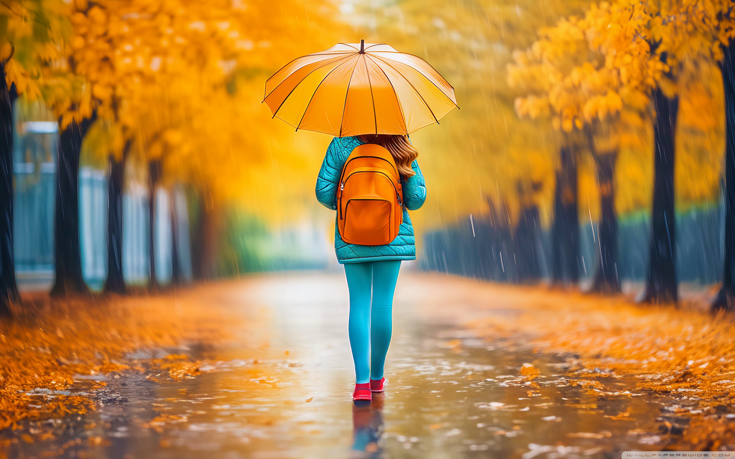 Back to School 4K UHD Wallpaper for UltraHD Desktop and TV, Widescreen and UltraWide Display, Smartphone and Tablet Devices