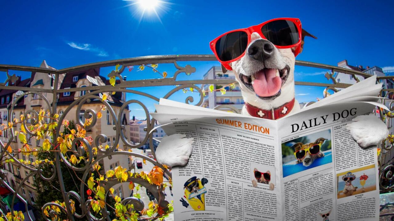 How to be a spectacularly horrible information officer