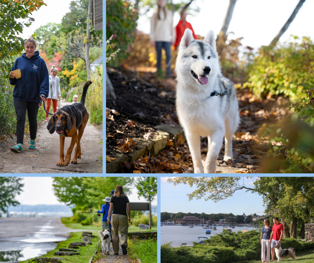 Summer Adventures with Your Dog in Lake Geneva, Wisconsin