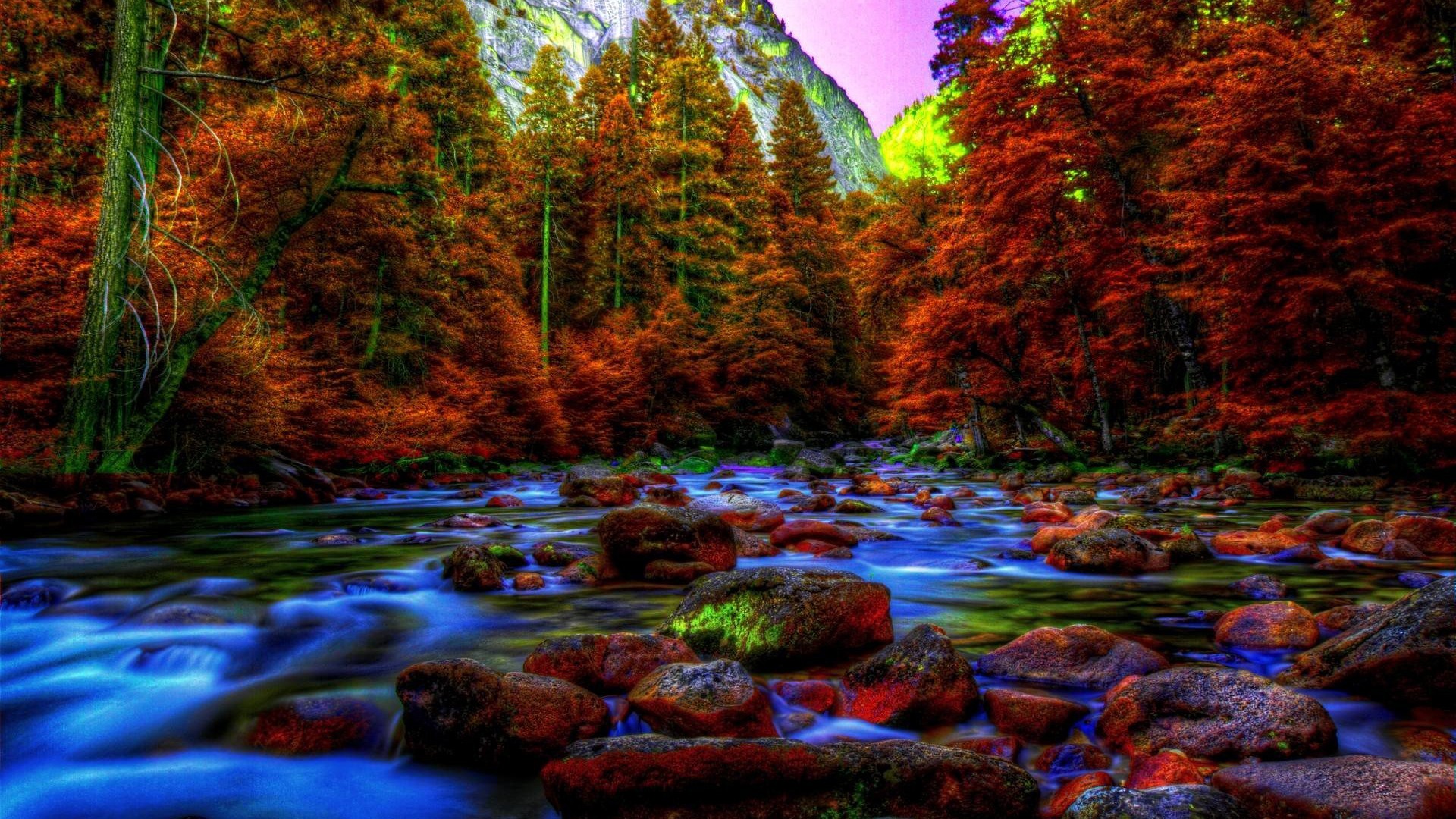 Red Yellow Autumn Fall Trees Water Stream Stones River During Nighttime HD Fall Wallpaper
