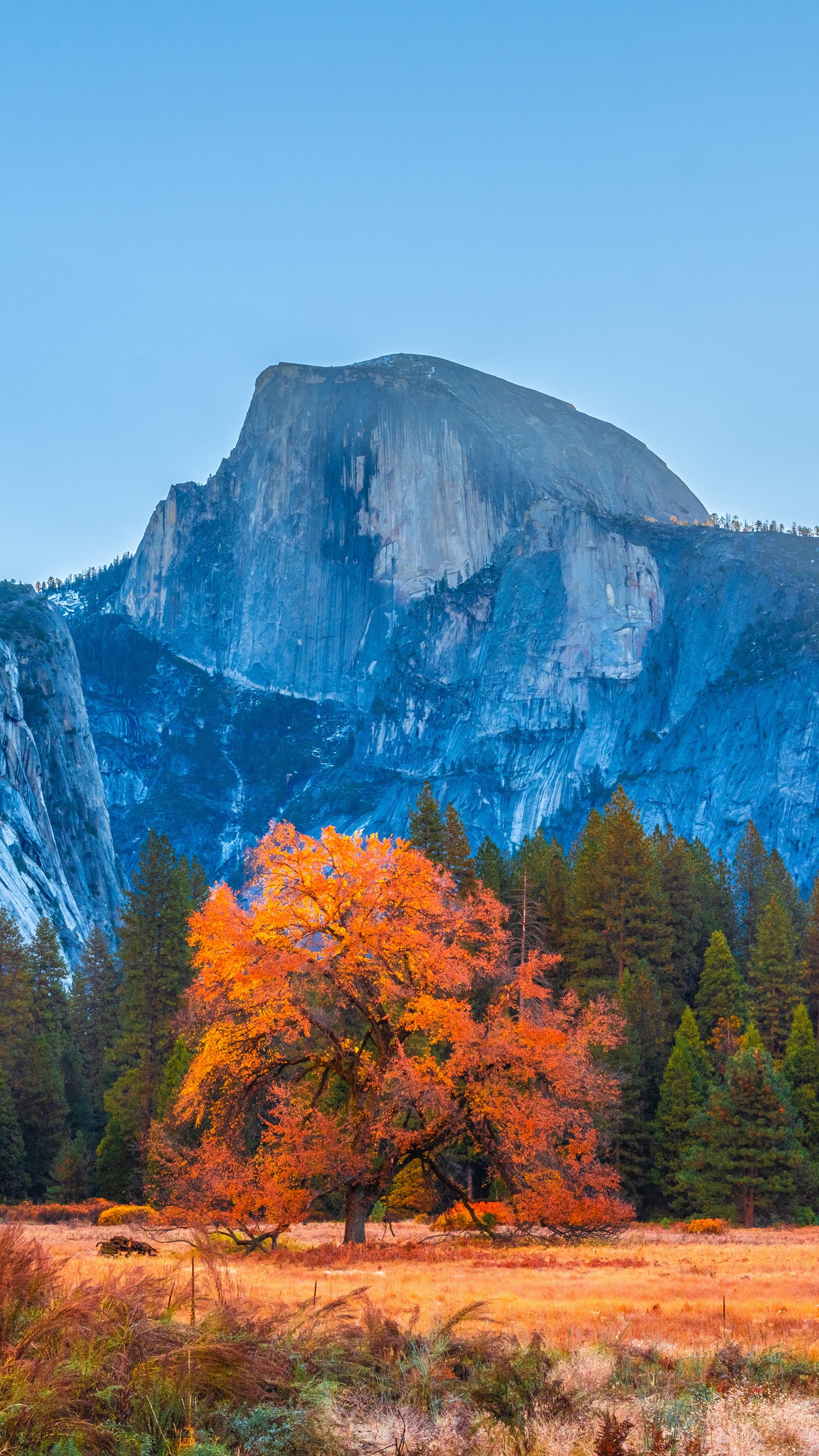 Beautiful Colorful Autumn Trees In Mountain Background Under Blue Sky 4K 5K HD Autumn Wallpaper
